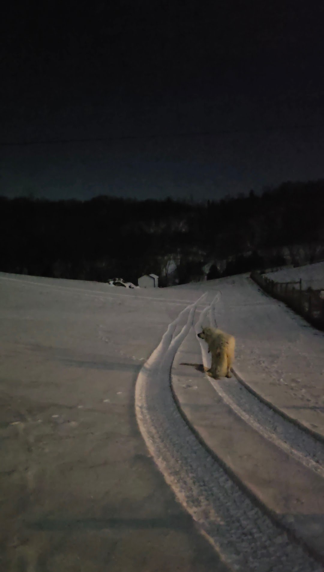 Screenshot_20250114_082009_Gallery (1).jpg