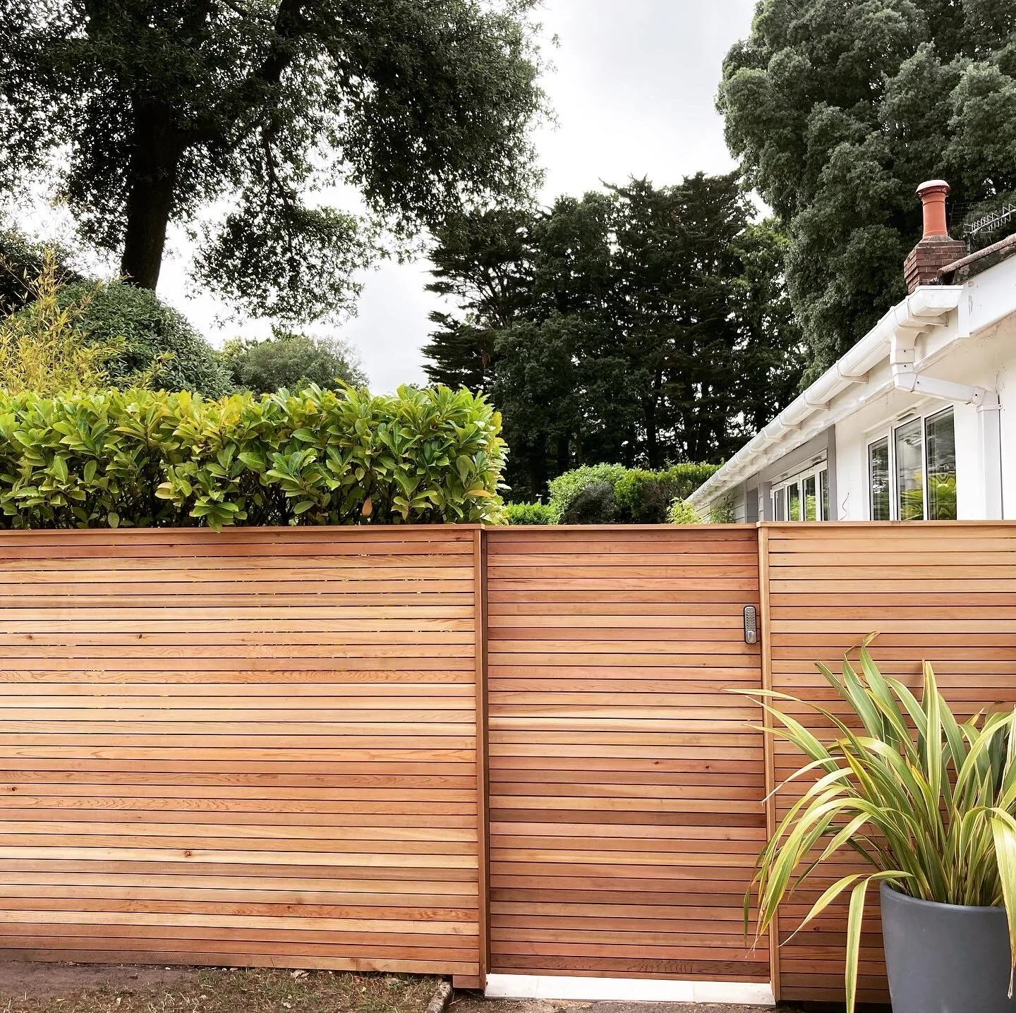 cedar fence poole.jpeg
