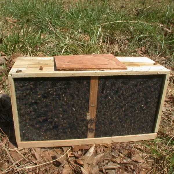 Field Day: Pkg Bee Installs