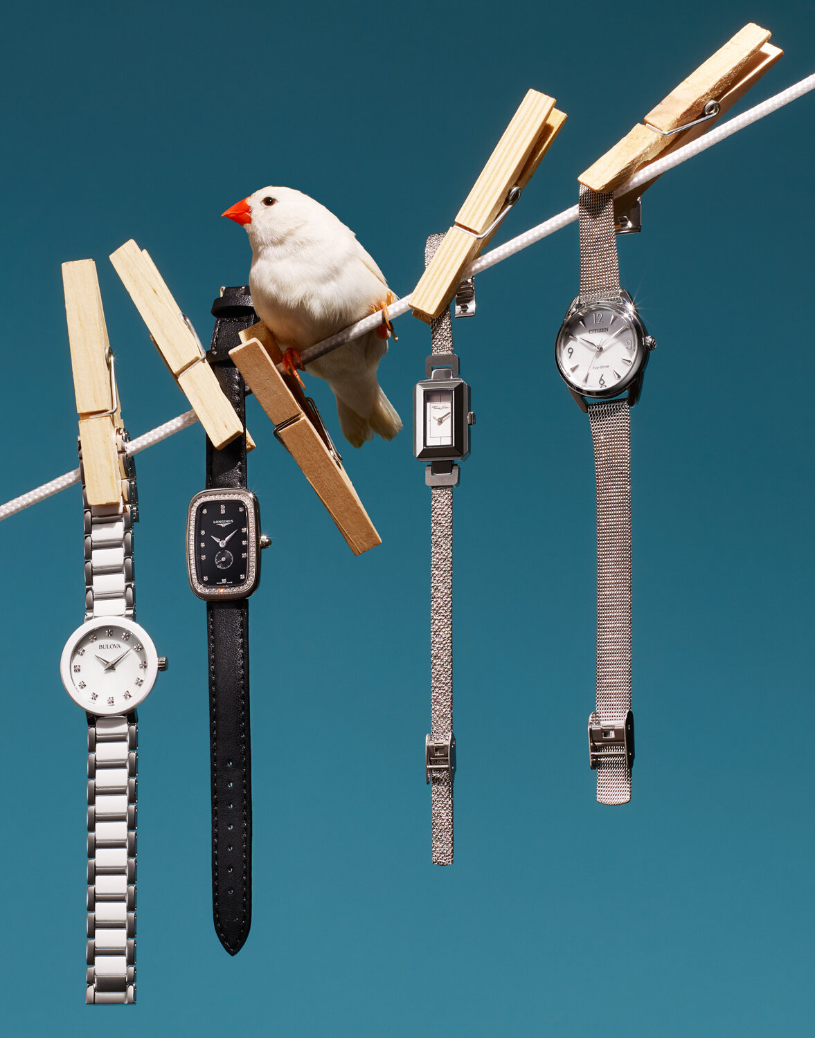 STY_13128_BIRD_1_WATCHES_copy.jpg