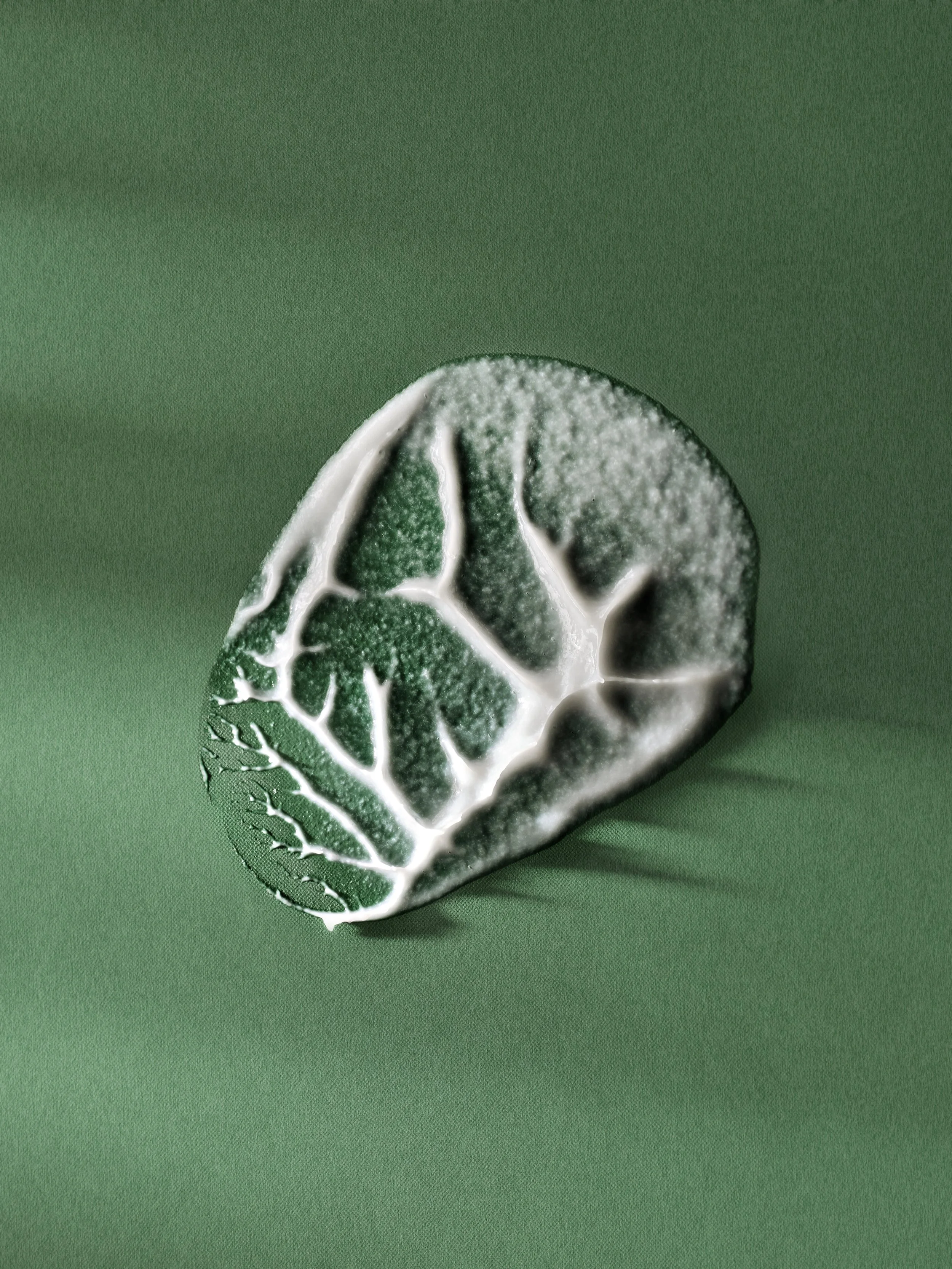 Vitamin C Intensive Face Cream Texture_004_R3 copy.jpg