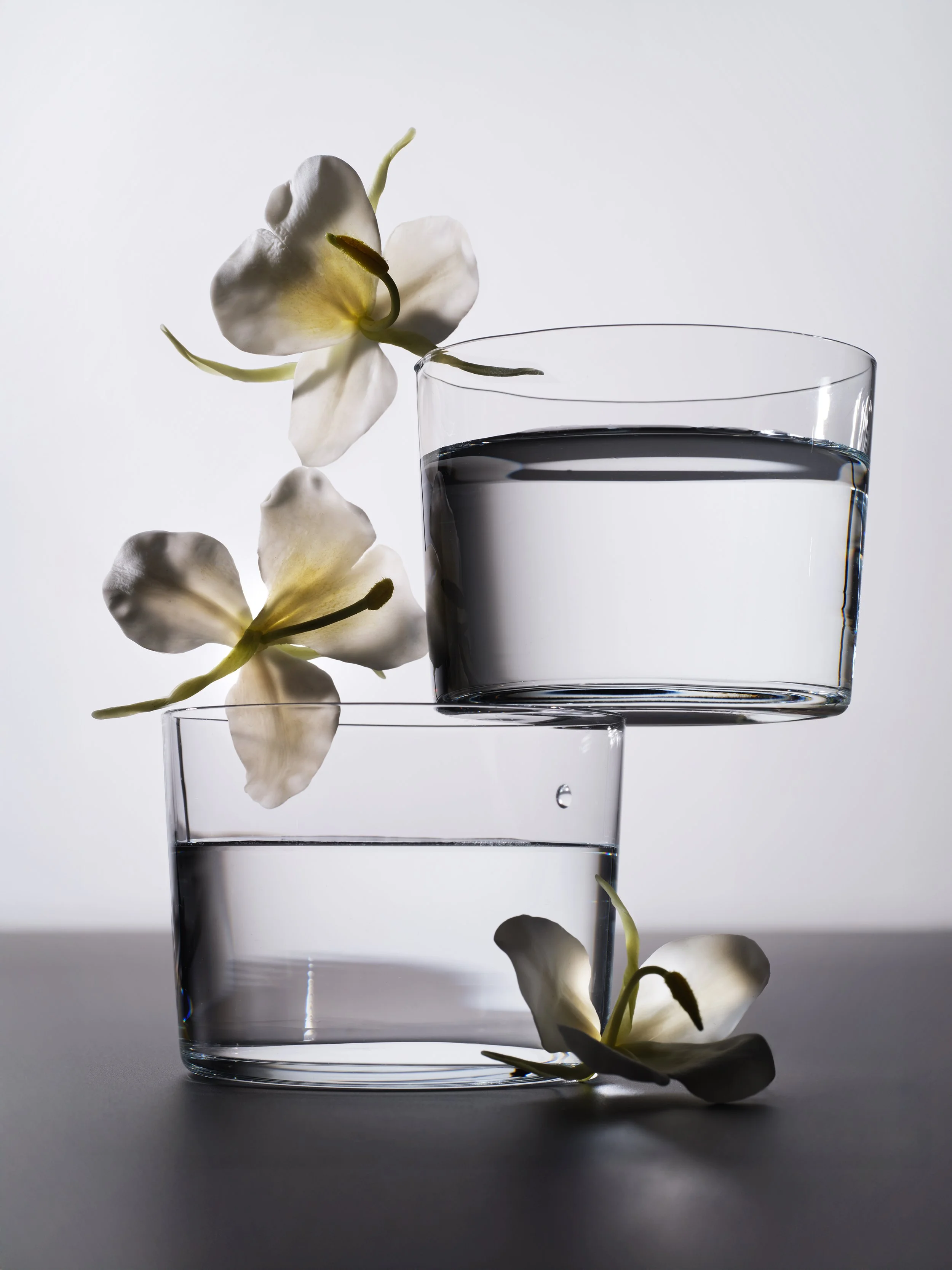 Welk_Flowers.jpg