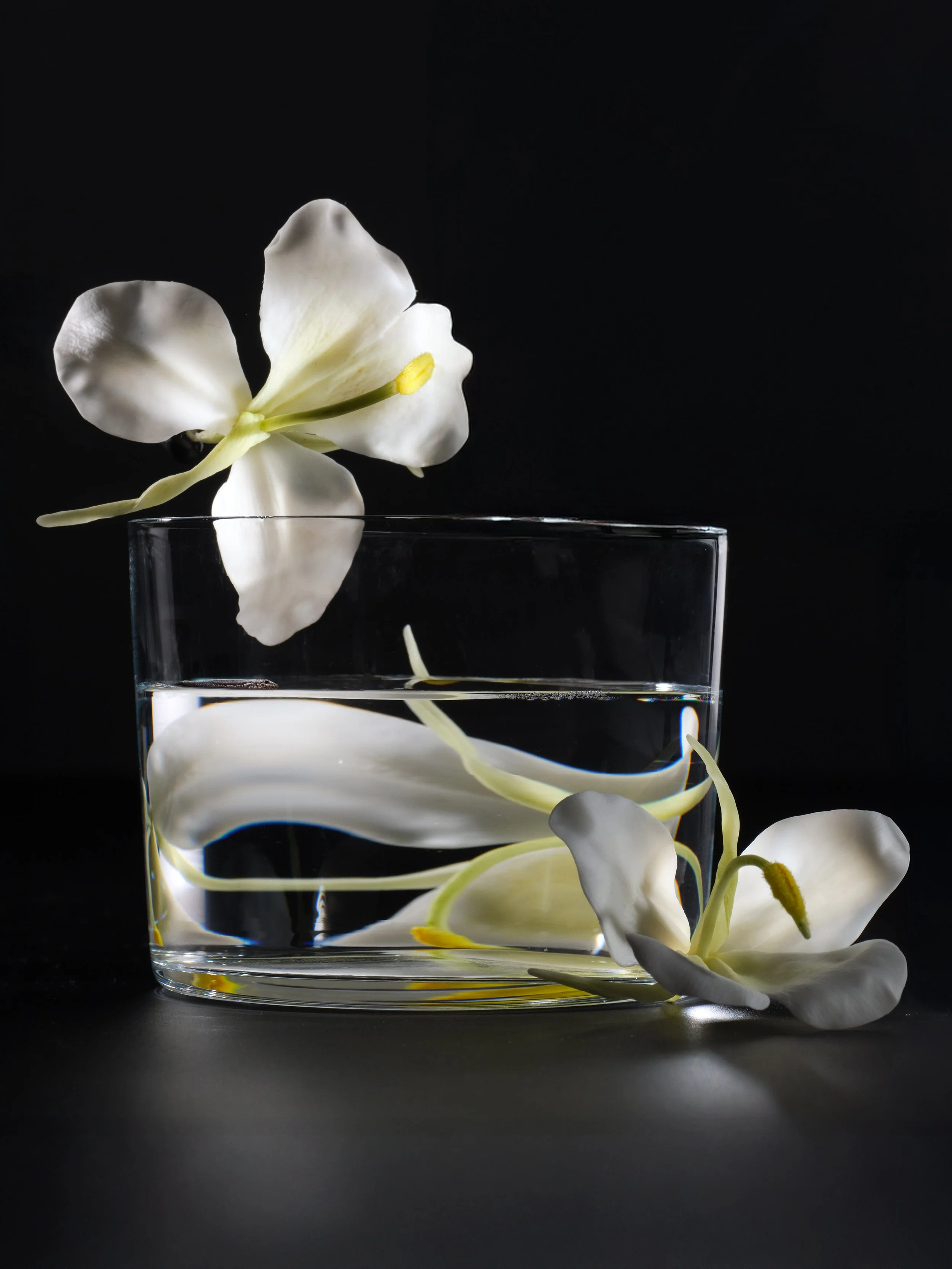Welk_flower7.jpg