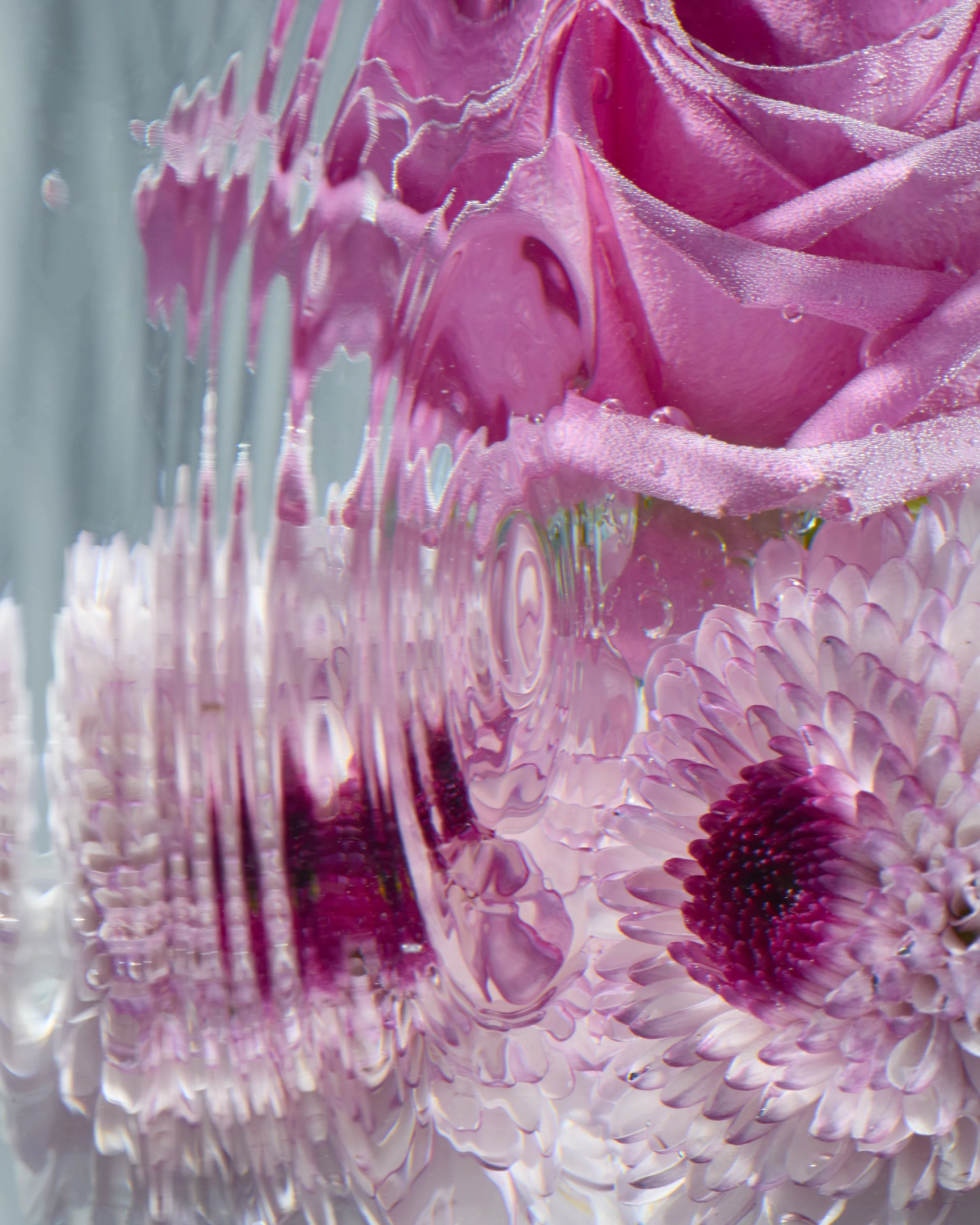 2025_03_05_WaterFlowerTest6884.jpg