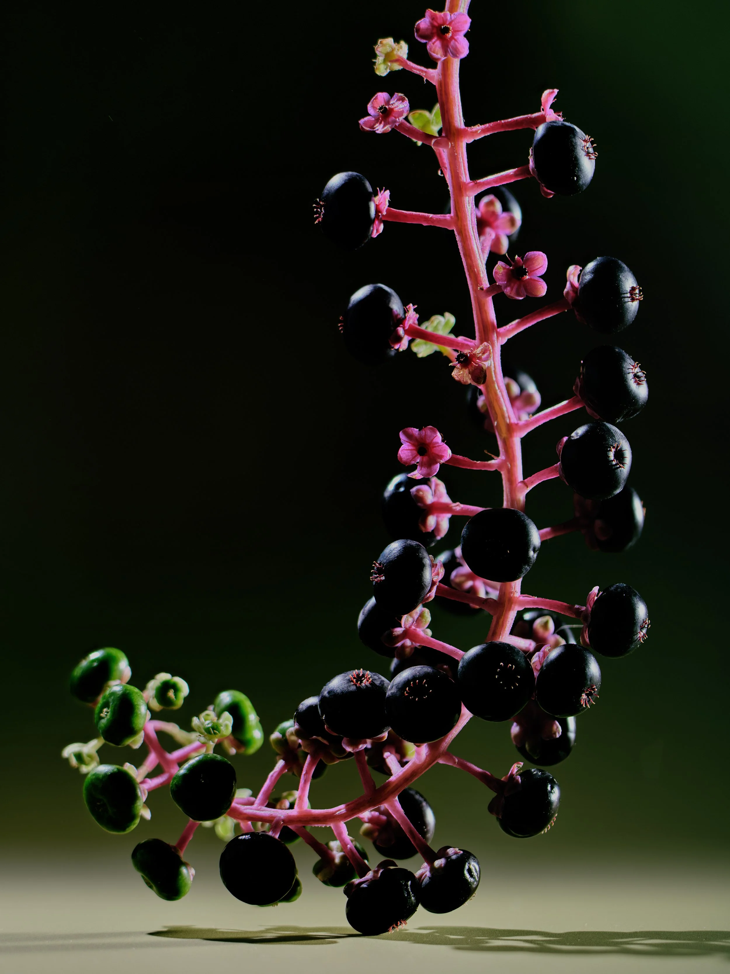 250917 Xavier test24970 Stacked.jpg