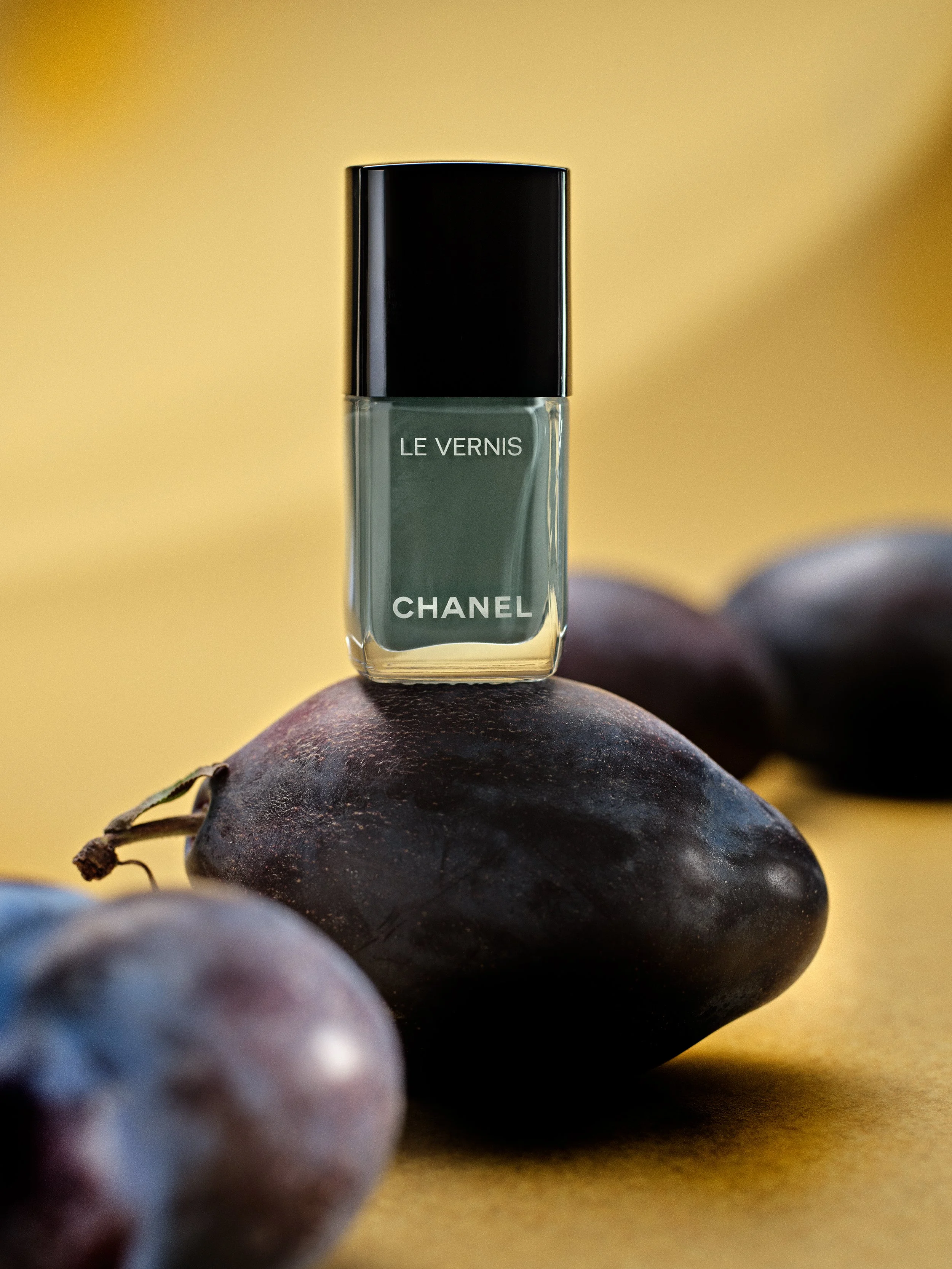 250904 Xavier Chanel test24108.jpg