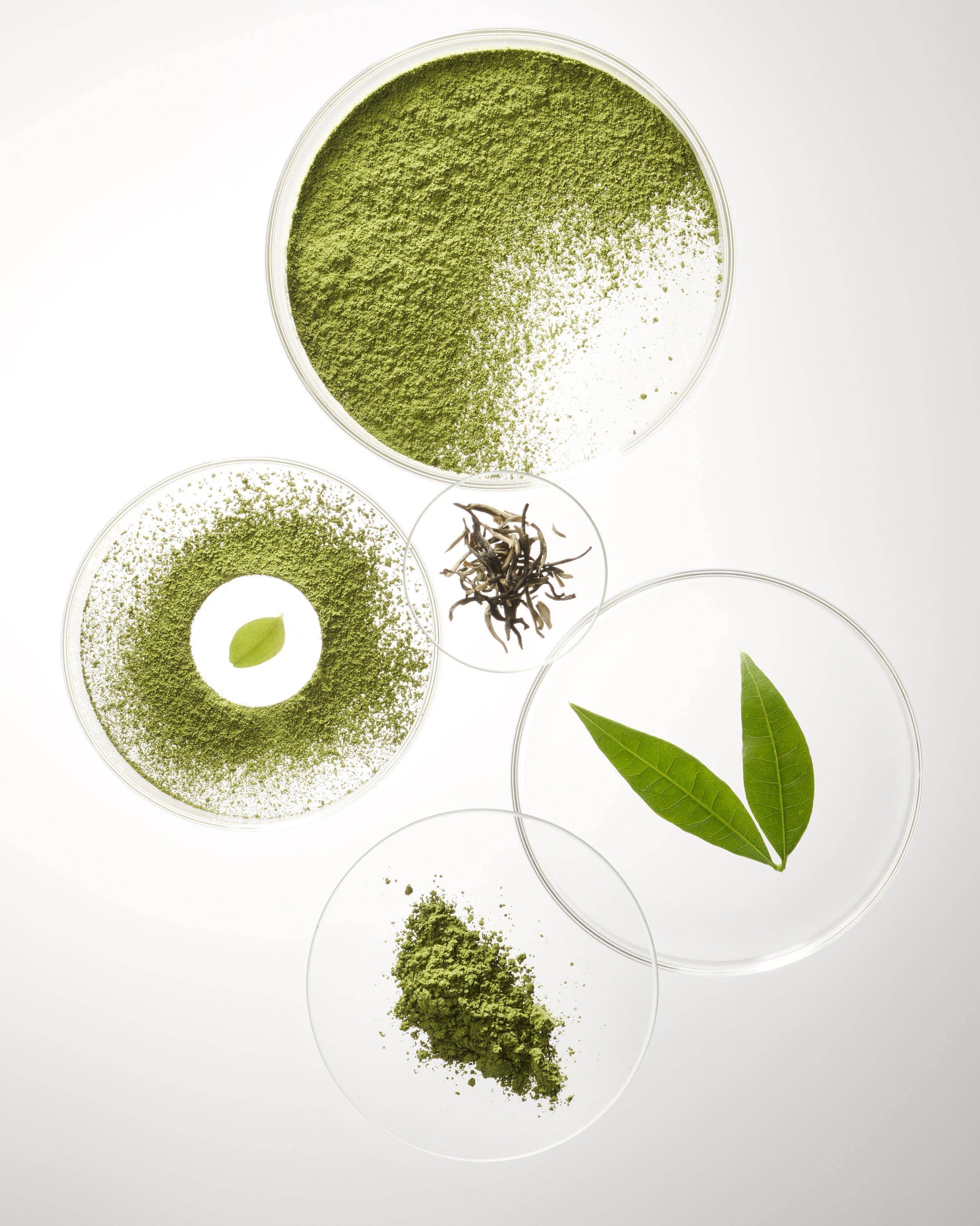 251014_FlorianSommet_Bonafide_Shot 2_Thermella_Ingredient_BASE_0076.jpg