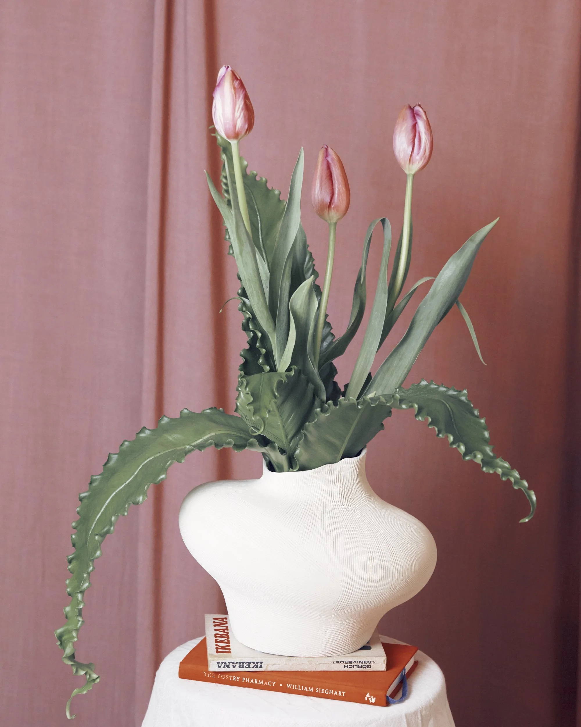 2026013_LA TULIPANA_ANITA GARCIA1729.jpg