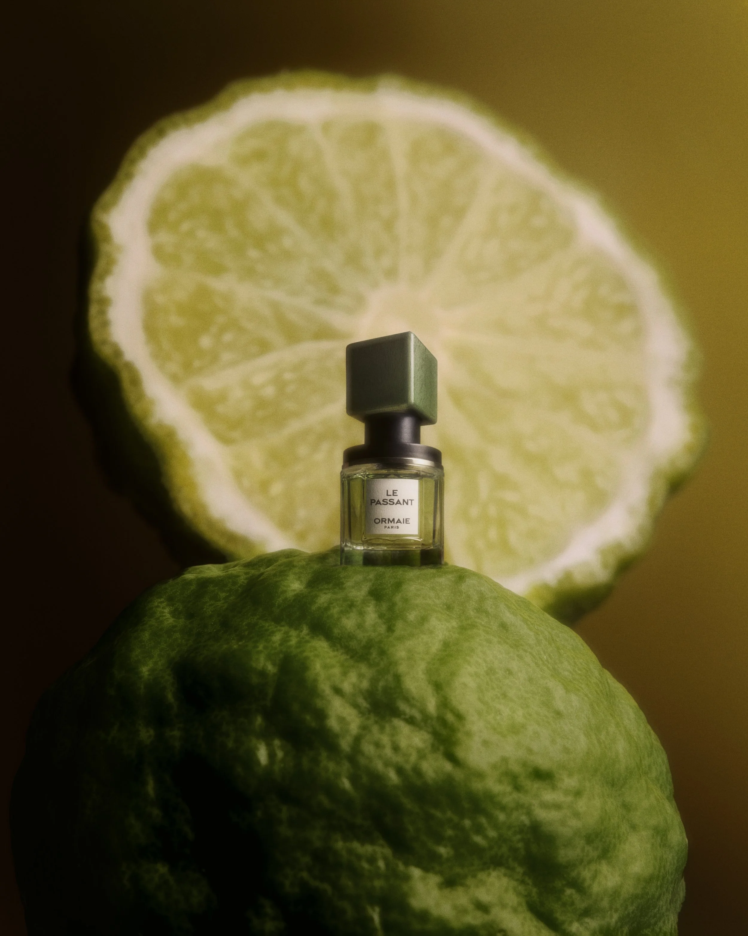 2039 KDG 02E ORMAIE 20251013_ORMAIE_test_Shot_01_base.jpg