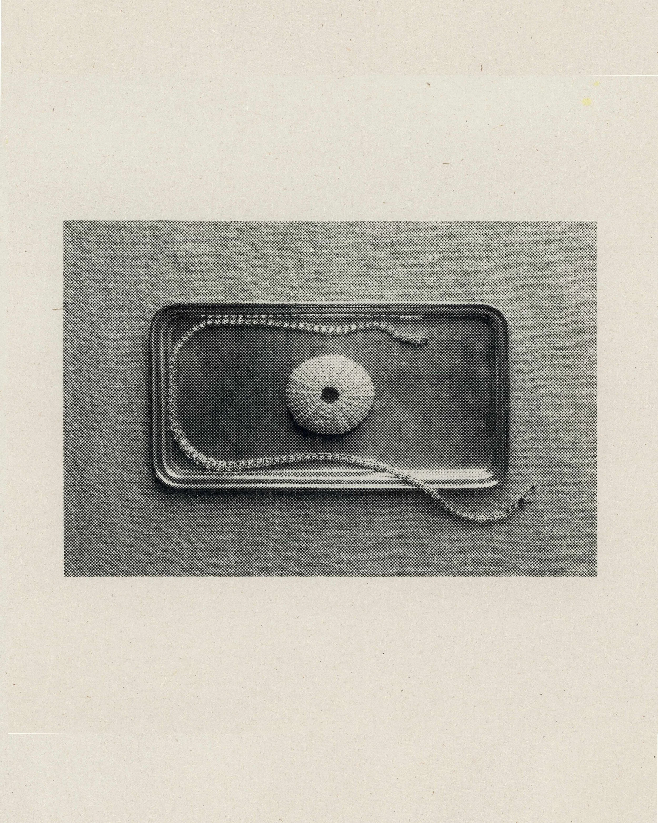 xav print 16_hz.jpg