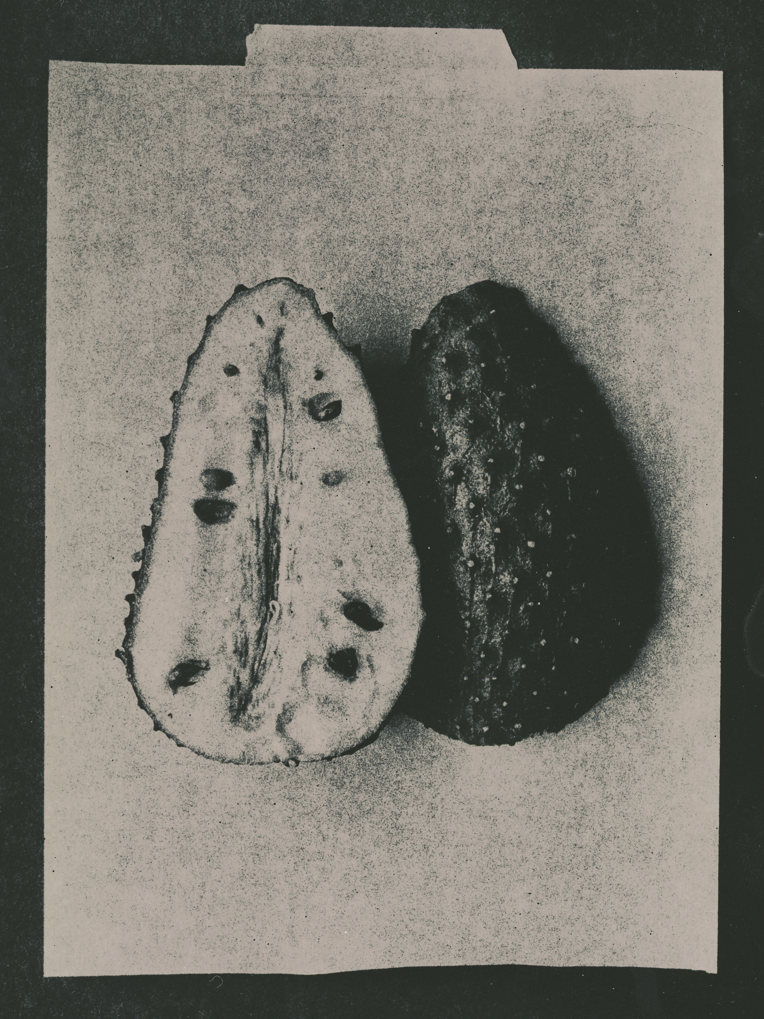xav print 09.png
