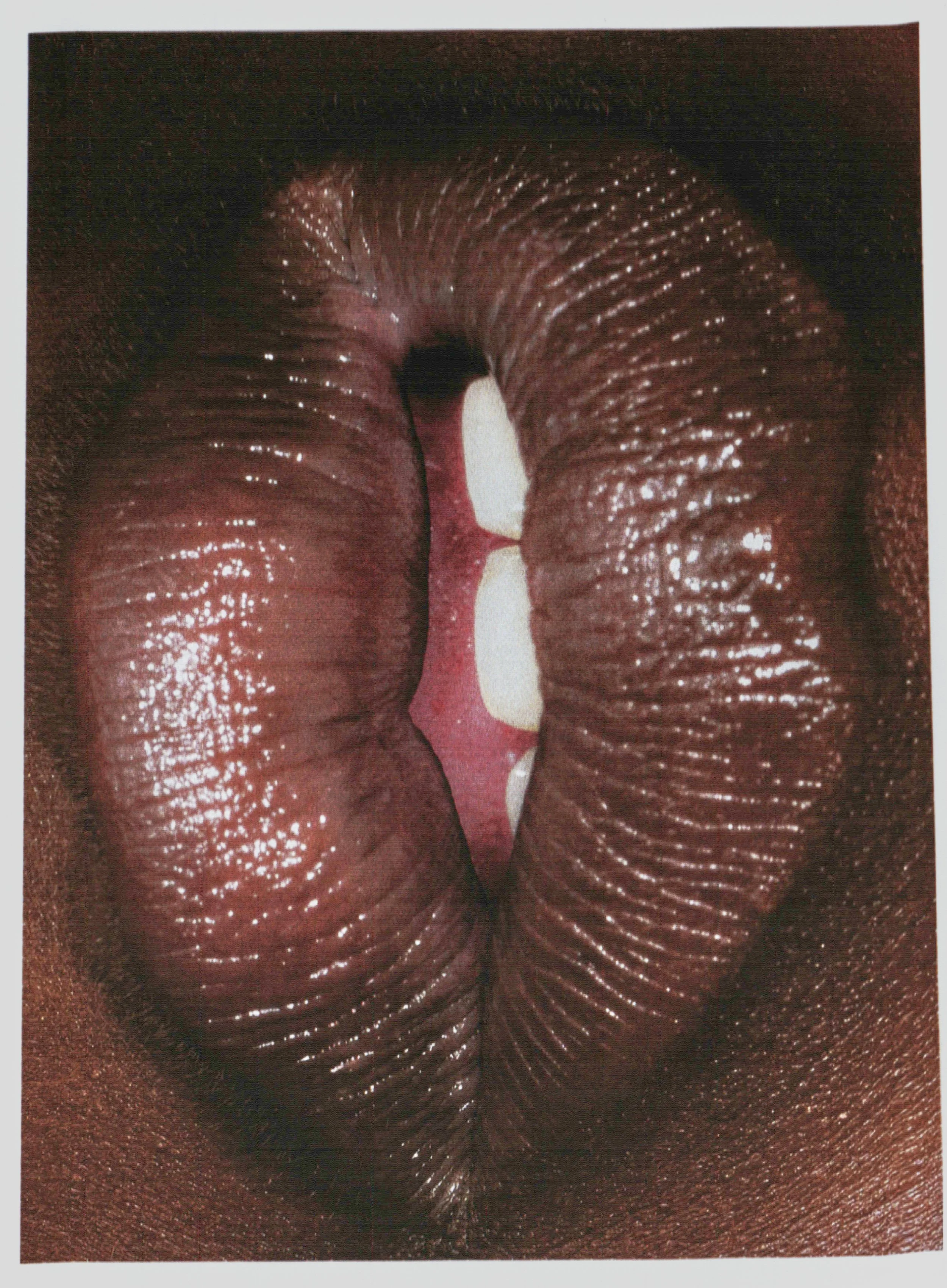 IMAG0041 1.jpg