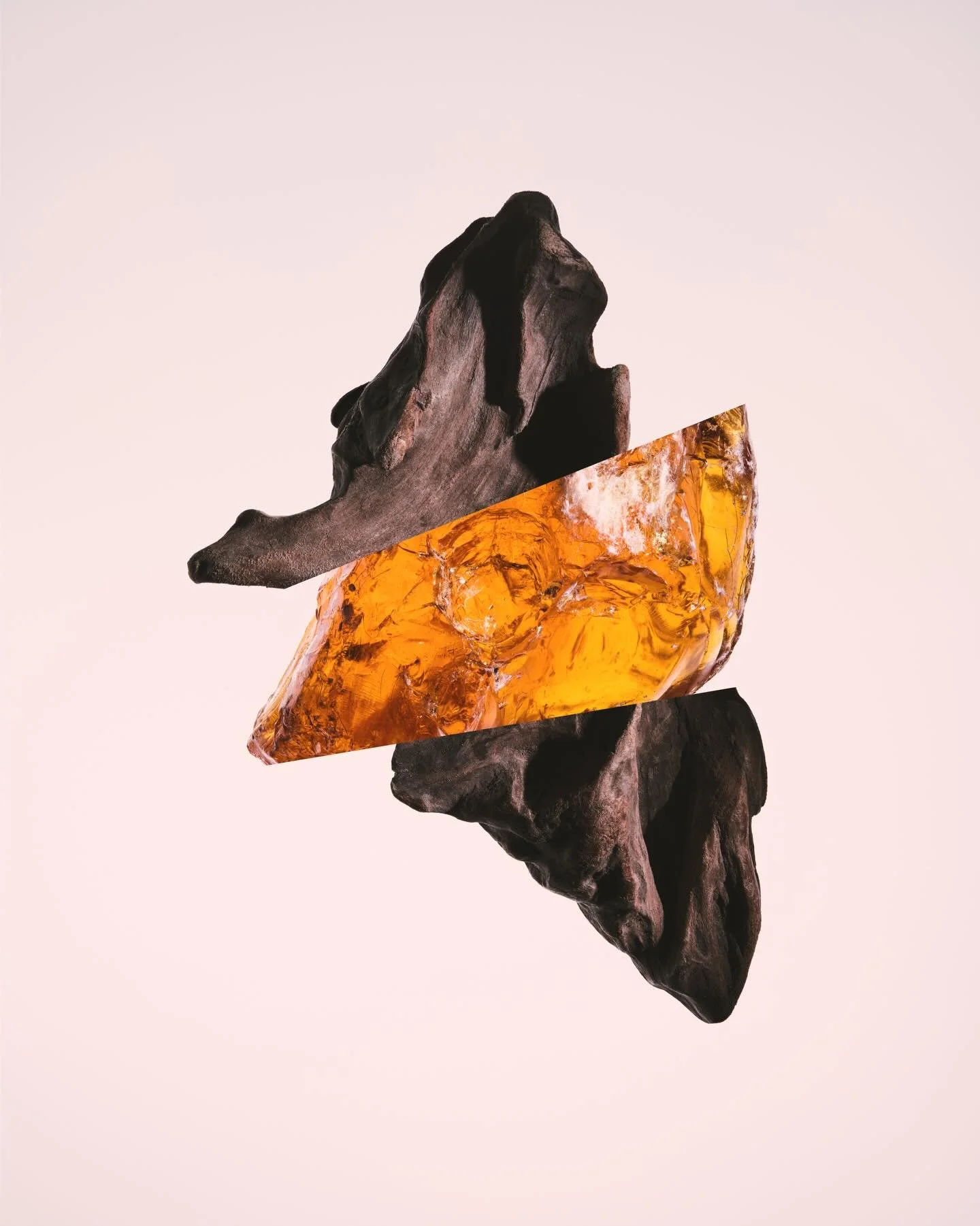 Ingredient explorations with @katecfrench -  - 2026-09-23 15-17-35.jpg