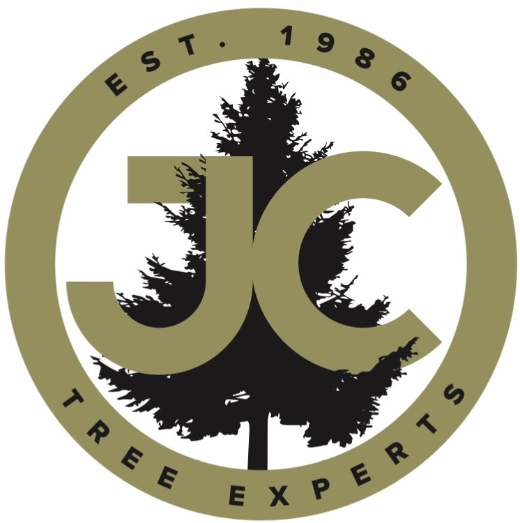 JC Tree Experts