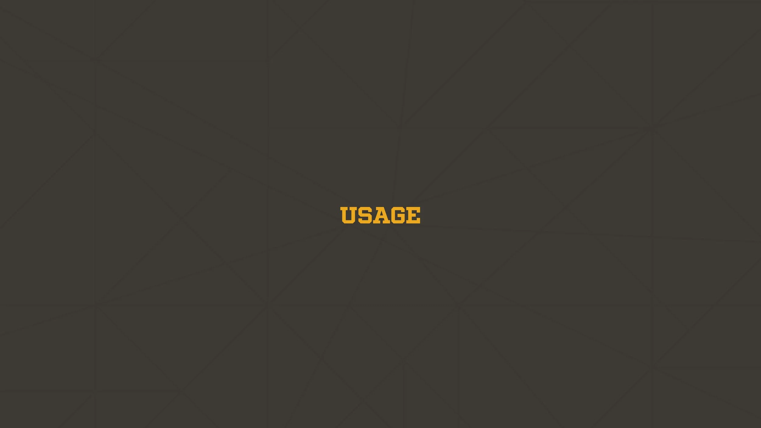 CAMPUS_Brand-Style-Guide_2022_v01_Page_12.jpg