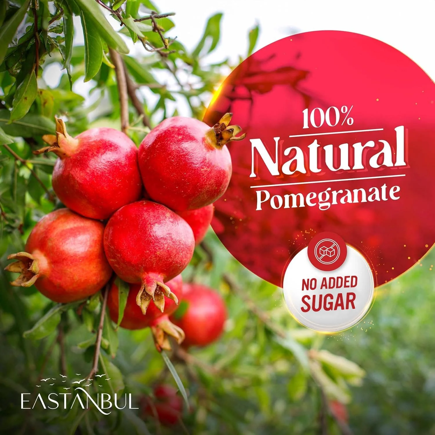 eastanbul-pomegranate-molasses-no-added-sugar-natural-1235oz-7.jpg