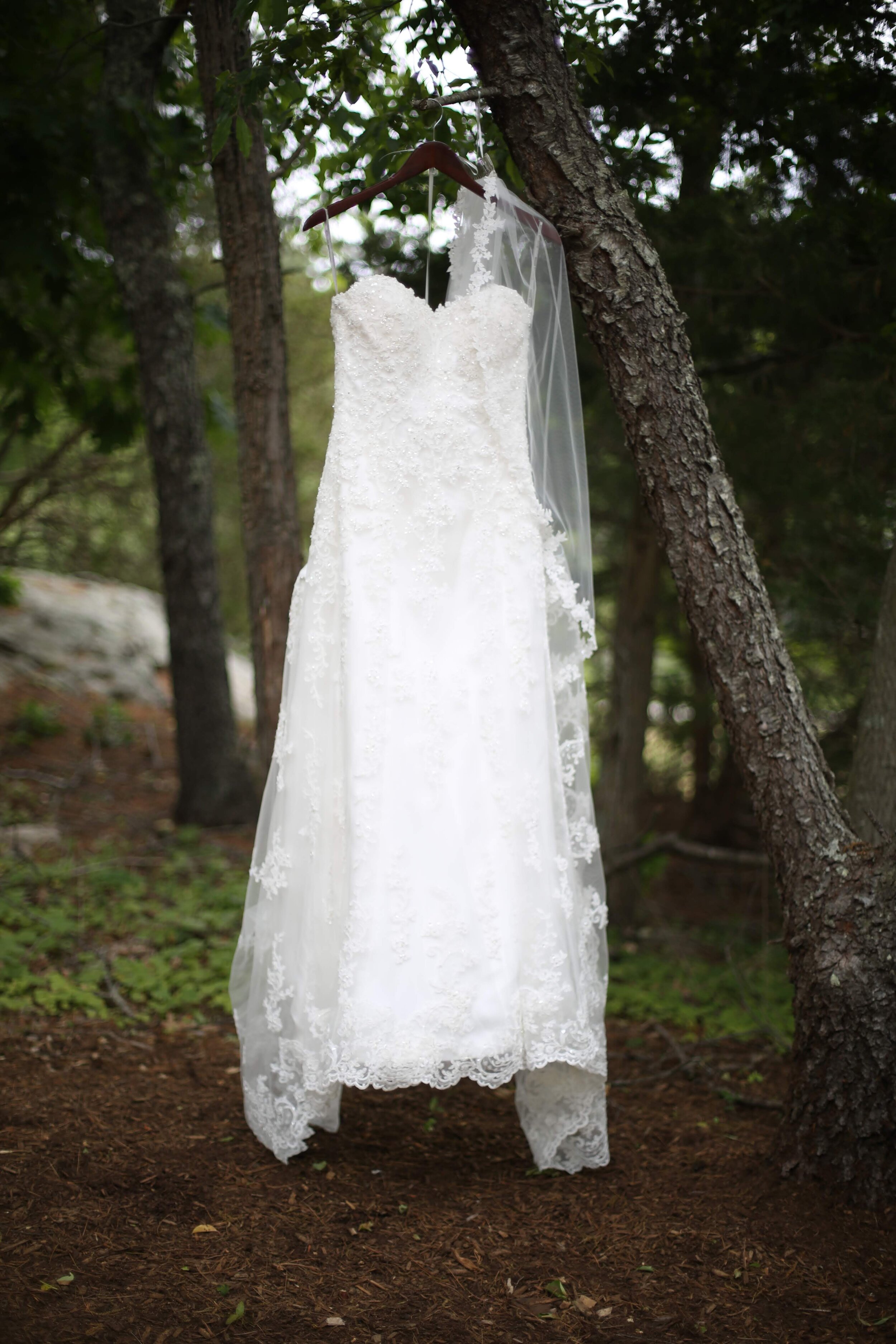 stephanie_olsen_weddings_engagements_boston_south_shore_photographer_1.jpg