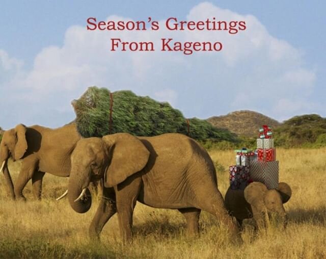 Wishing you all the Hope, Wonder &amp; Joy that the season can bring!