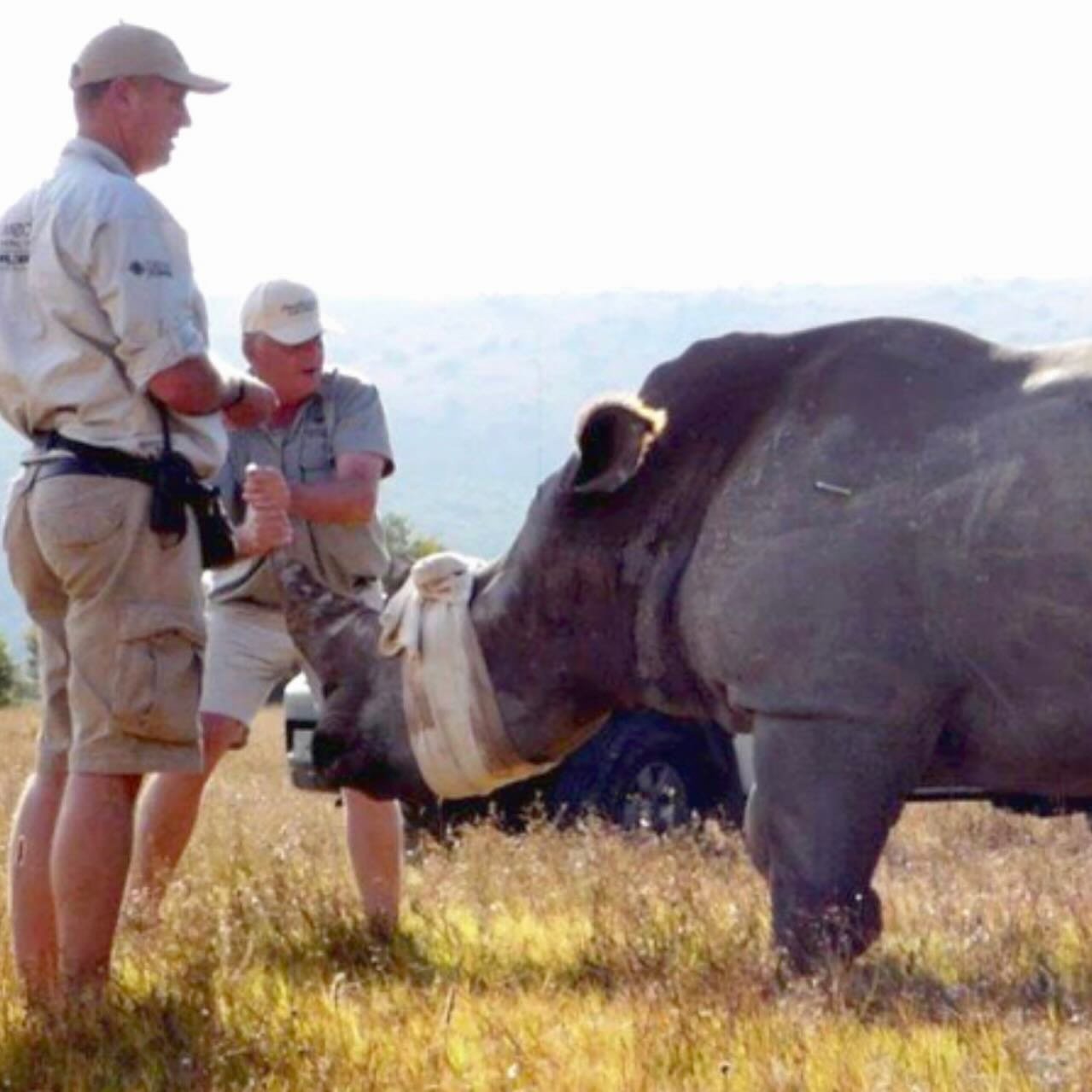 Join us for an inspiring evening with wildlife conservationist, Grant Fowlds (@grant.fowlds), a dedicated advocate for protecting endangered species and empowering communities. As our special guest speaker at this year&rsquo;s Harambee, Grant will sh