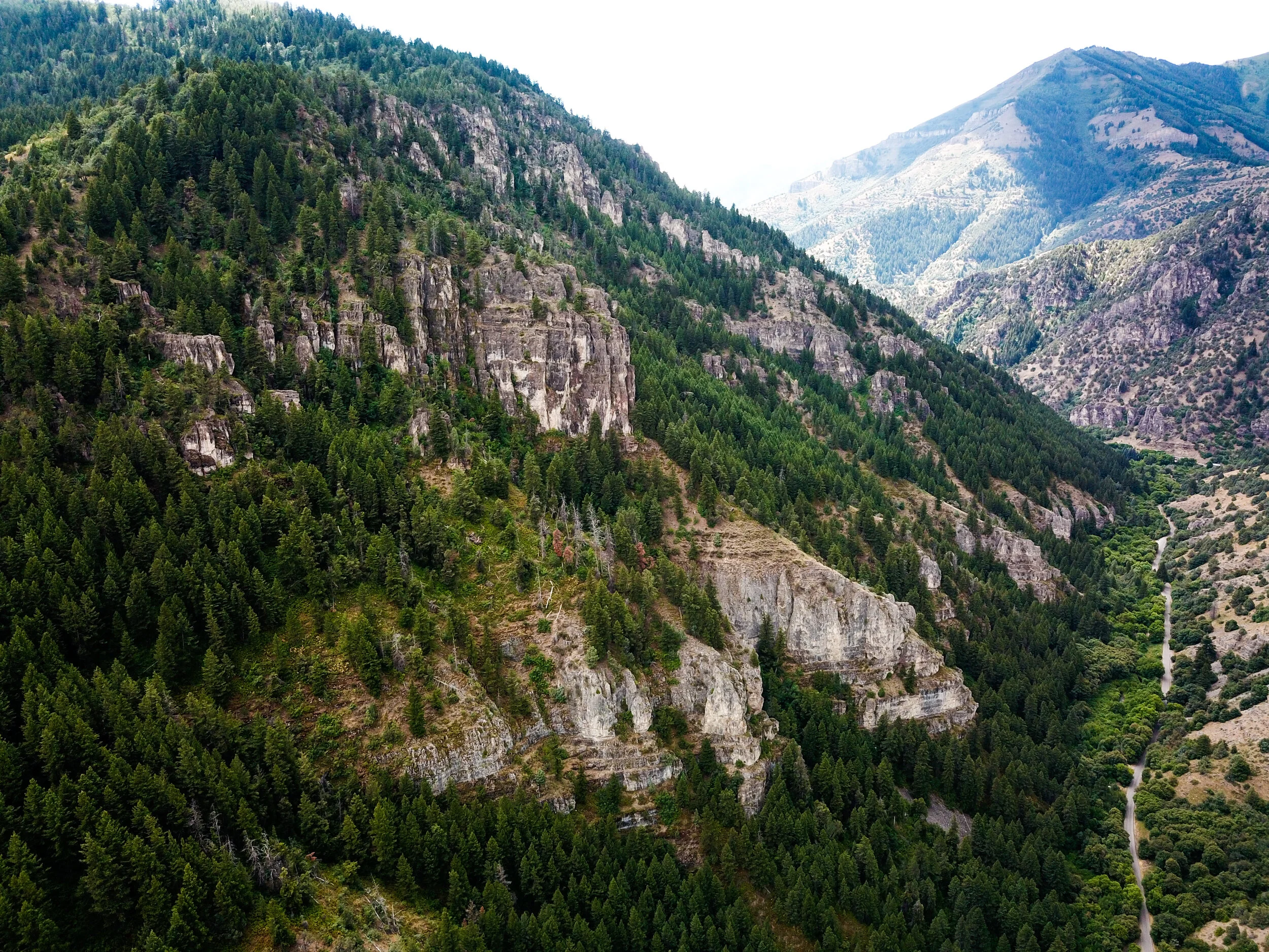 Logan District — Go Camp Utah Camping and Recreation in Utah, USA