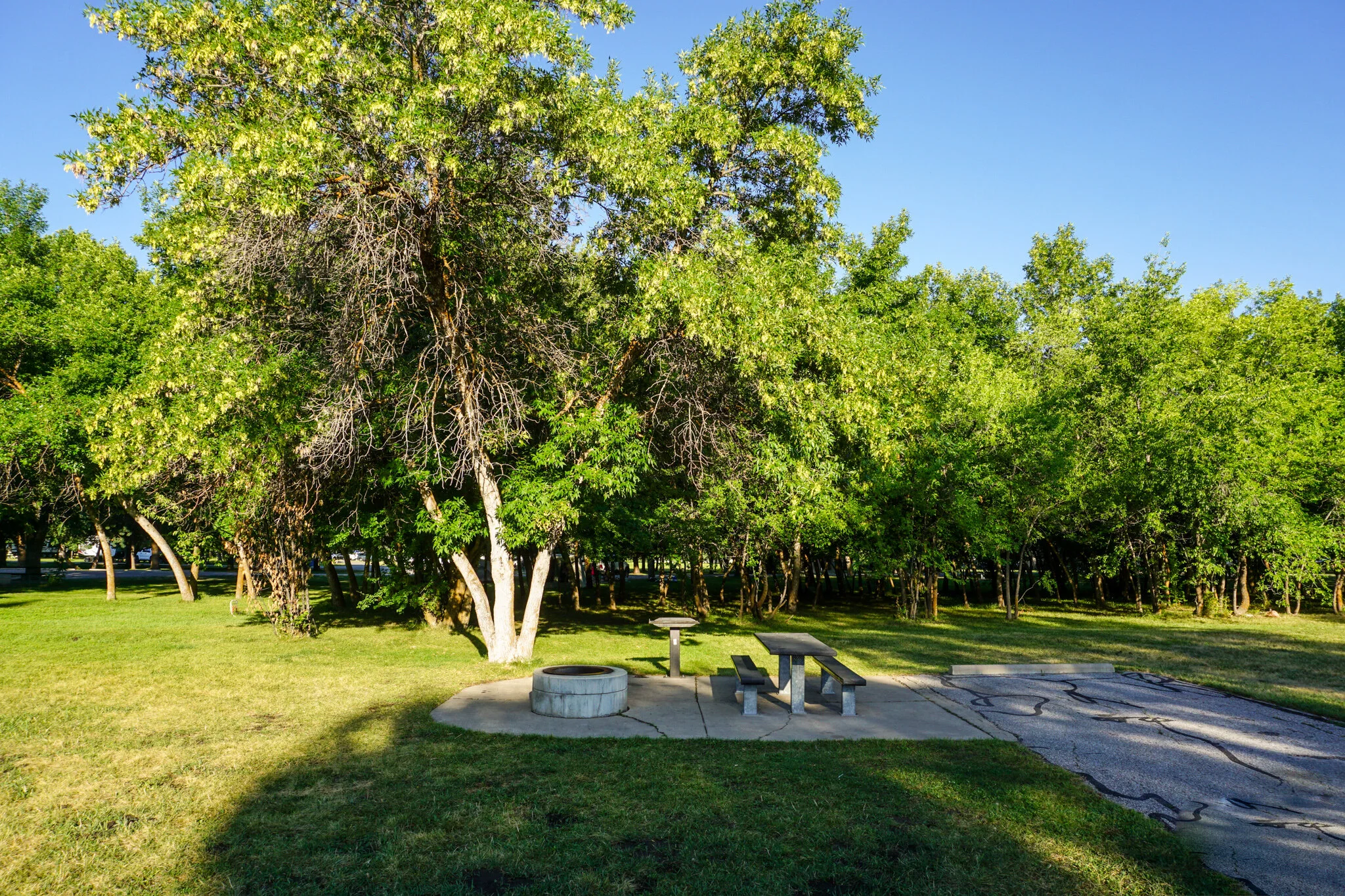 Ogden District — Go Camp Utah Camping and Recreation in Utah, USA