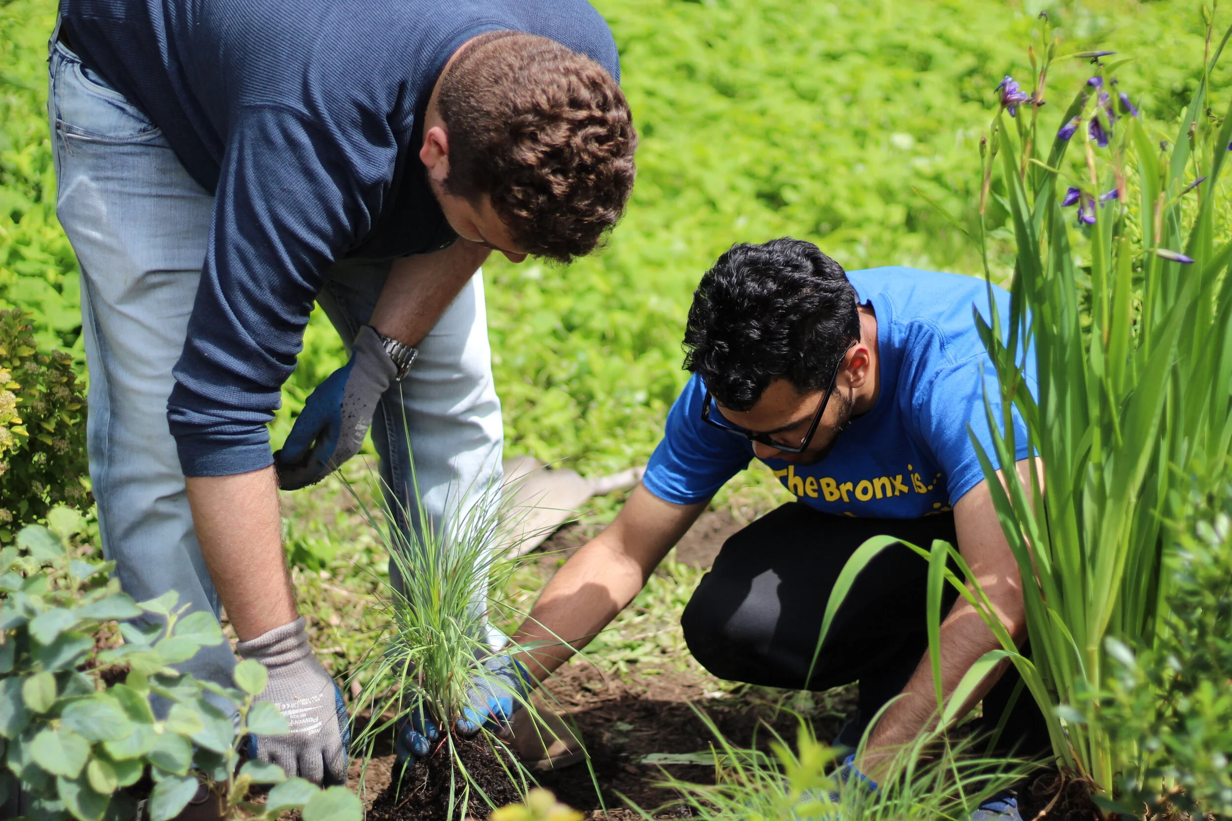 Planting - Website_  (3).JPG