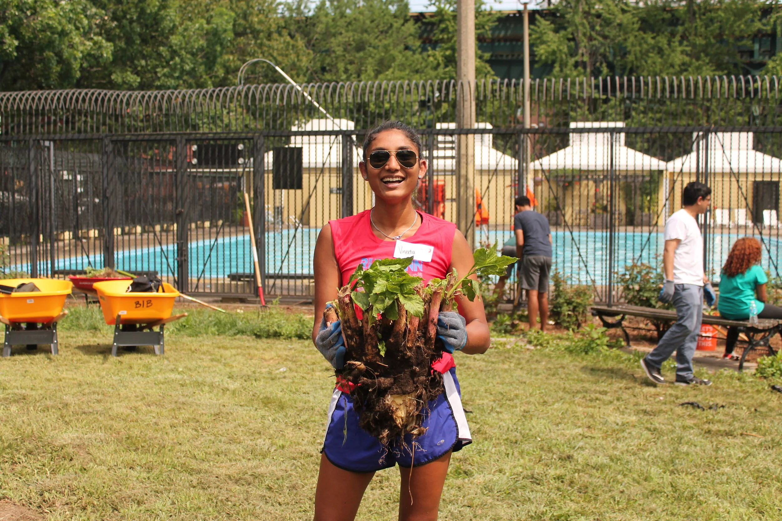 Success - invasive tree root removal website_ .JPG