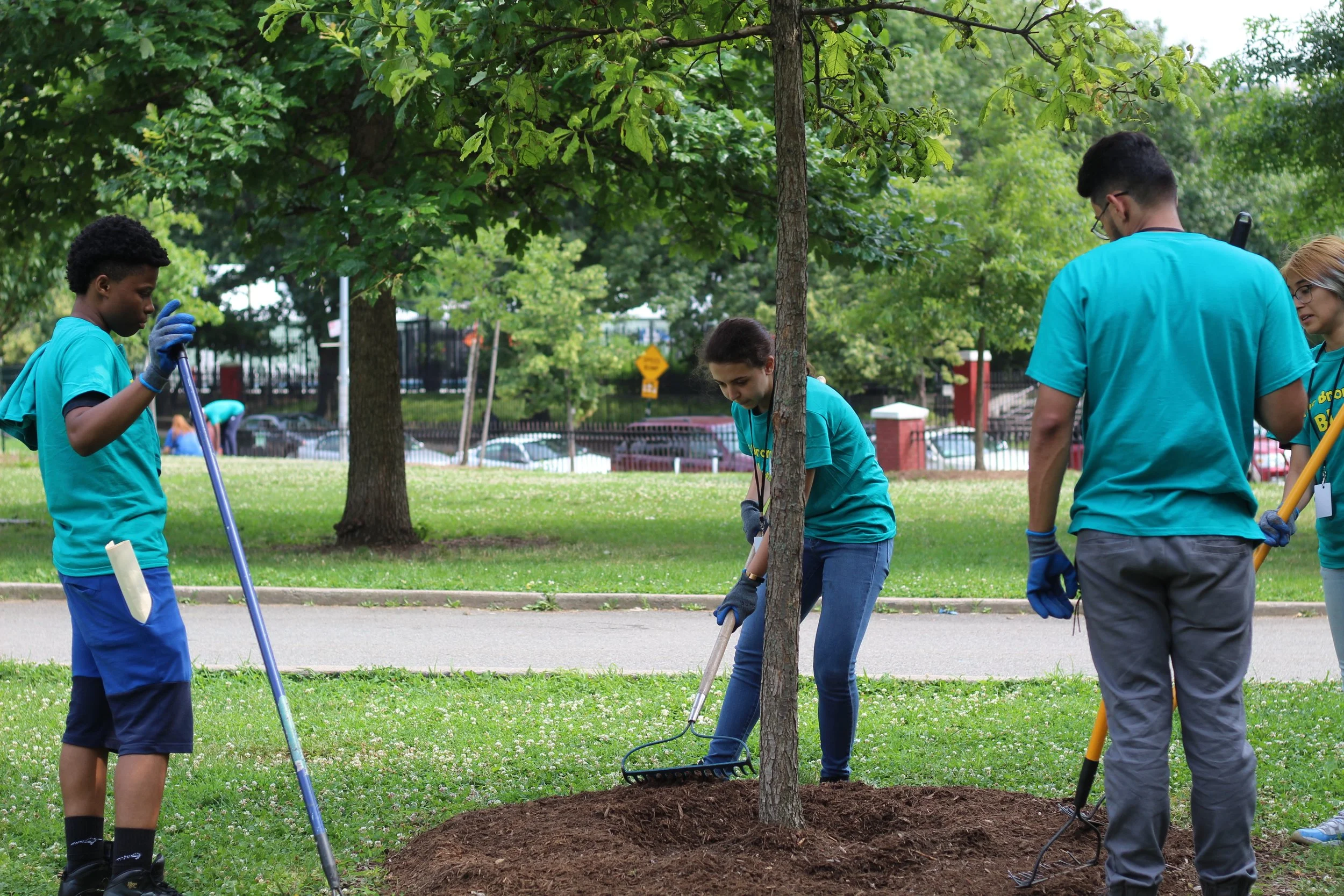 For the Love of Trees: Revitalize Rev. Foster Park
