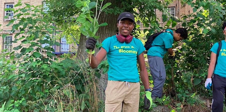 Shoelace Gardener’s Club: Revitalize Shoelace Park