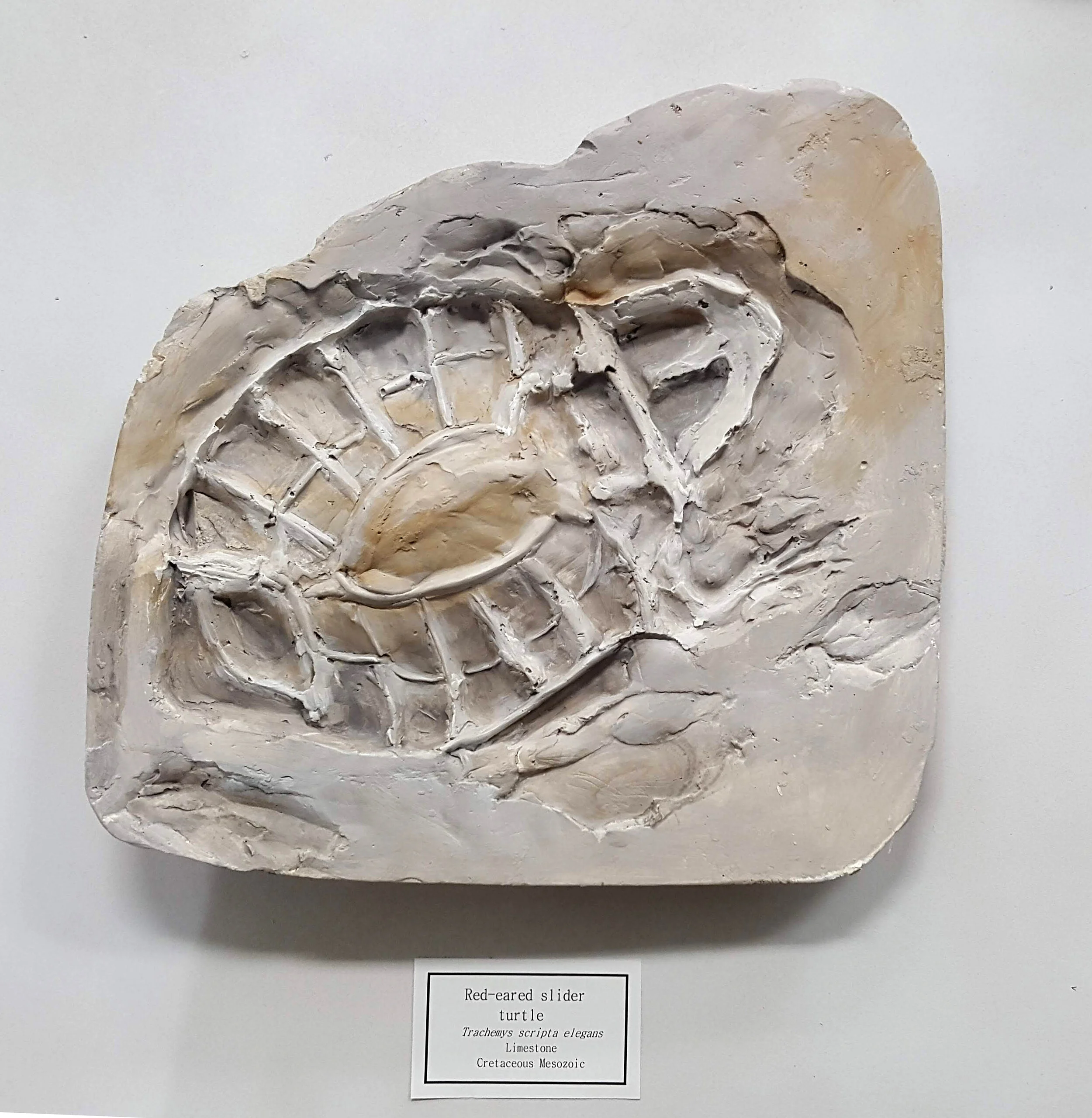2019_Simpson_Anthropocene4.jpg