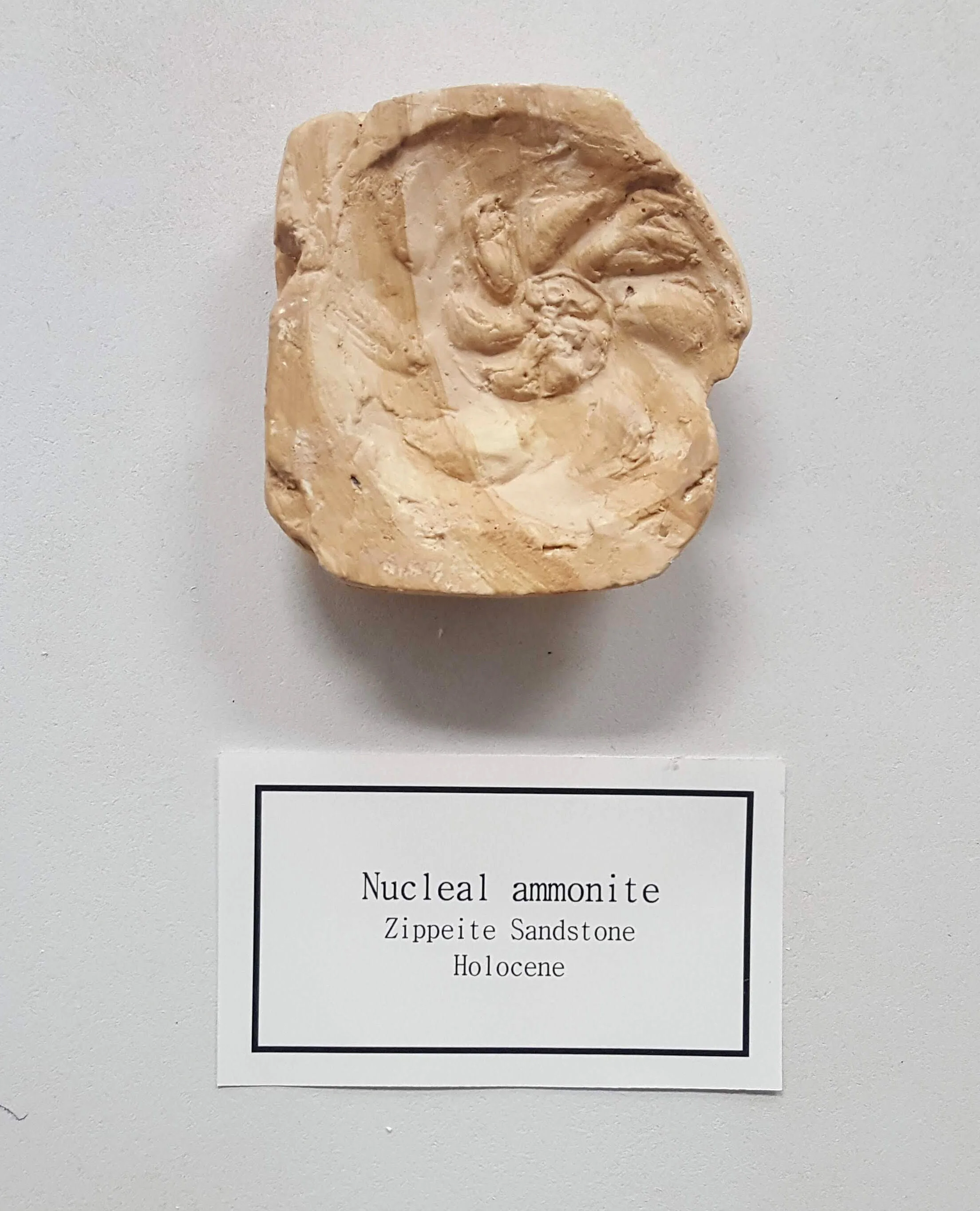 2019_Simpson_Anthropocene5.jpg