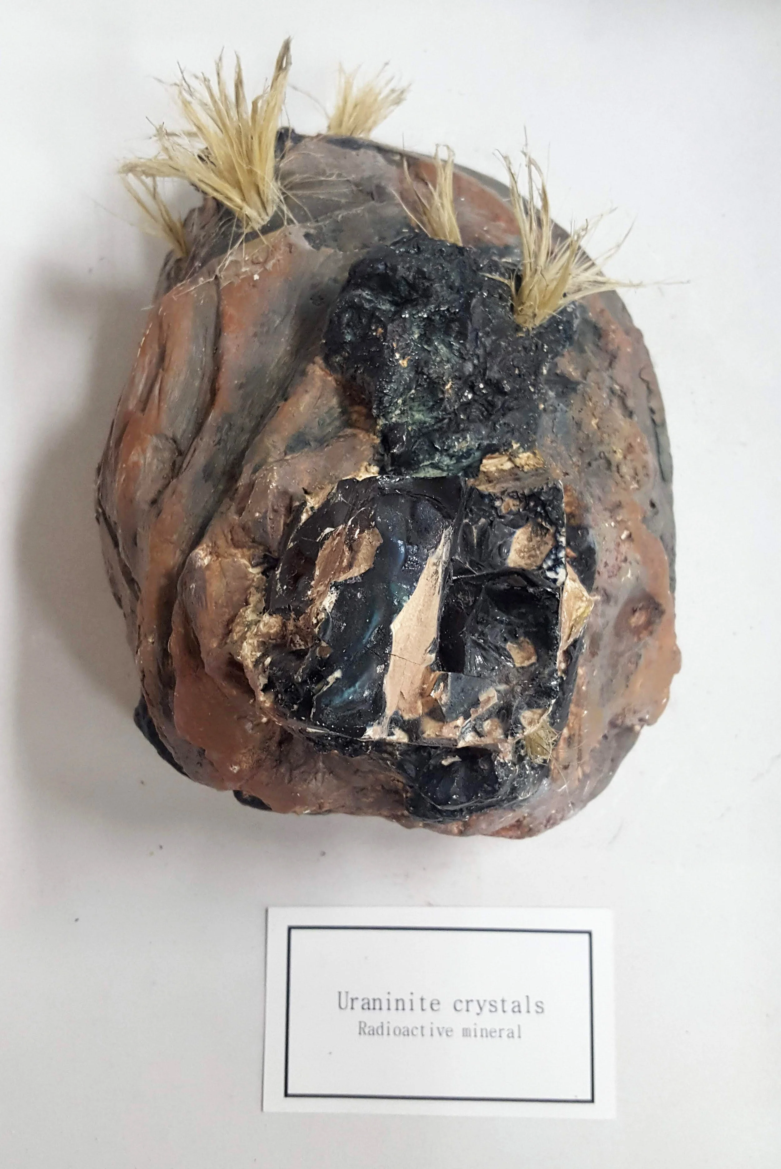 2019_Simpson_Anthropocene6.jpg
