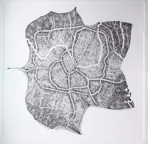 2022_Leafmap_Tulip Poplar:Nashville lowres.jpeg