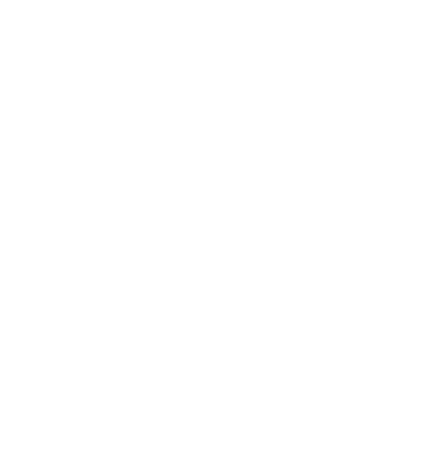 Flip Your Script