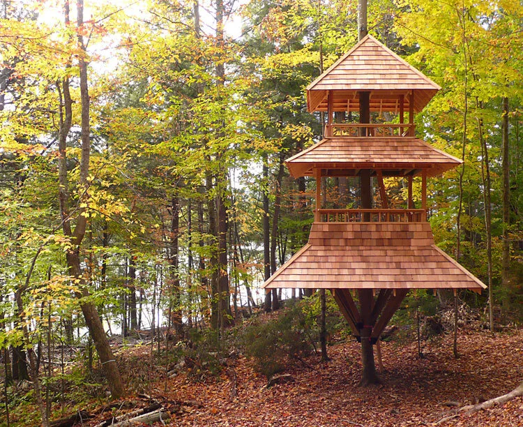 Treehouse_5.jpg