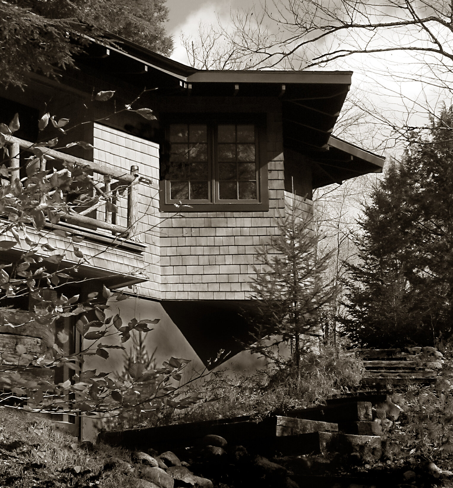 The_New_Nest_0003_Sepia.jpg