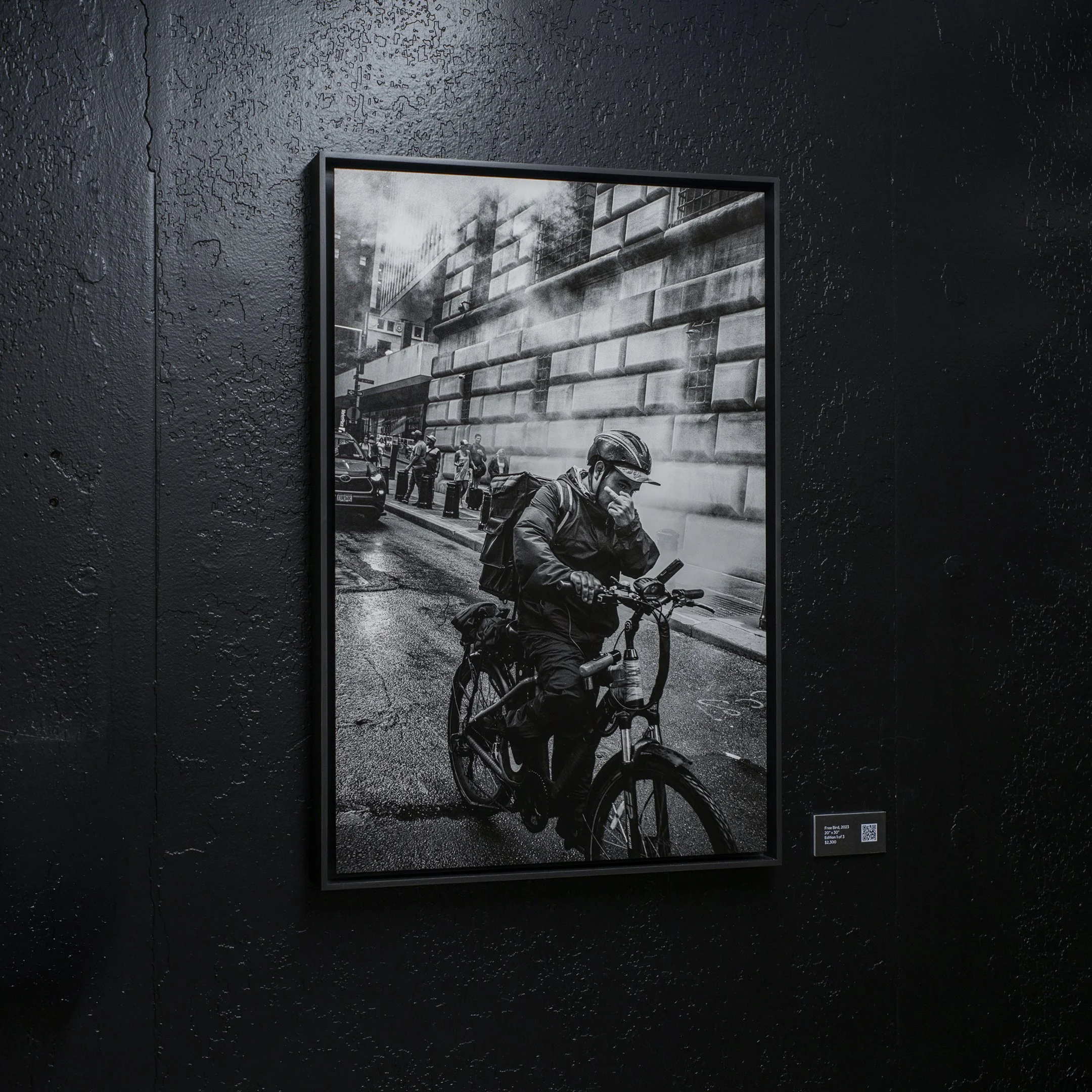 Free Bird,  New York City, 2023 20” x 30”, signed and numbered Dibond Aluminum Composite panel Hand-crafted black walnut floating frame with Japanese woodworking Edition 1 of 3 Made in New York City