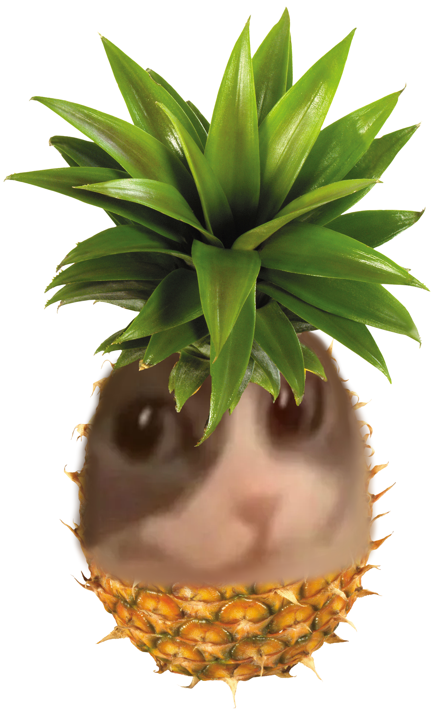 pinemelvin.png