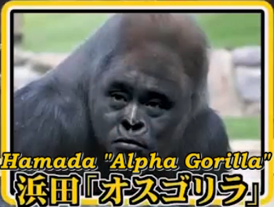 alphagorilla.png