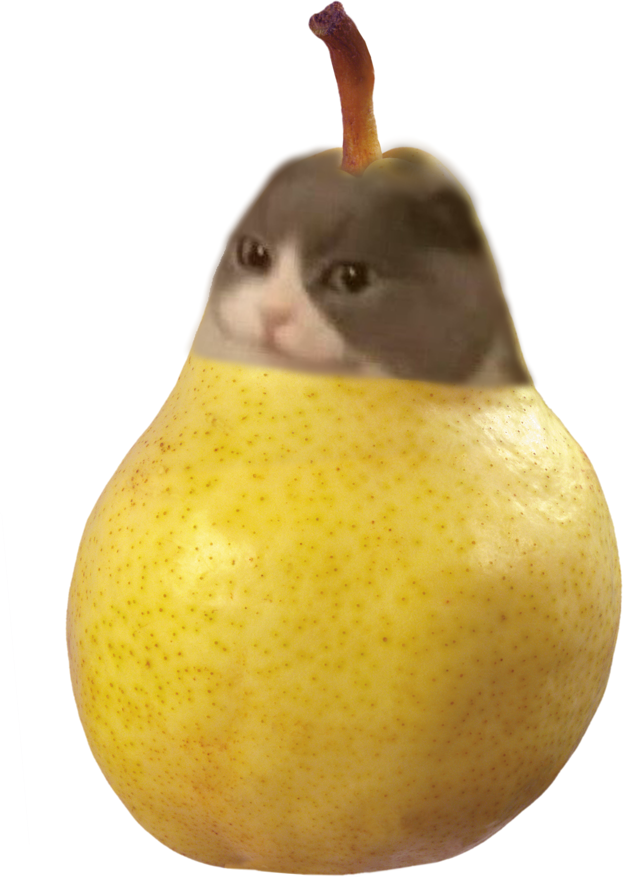 pearofmelvin.png