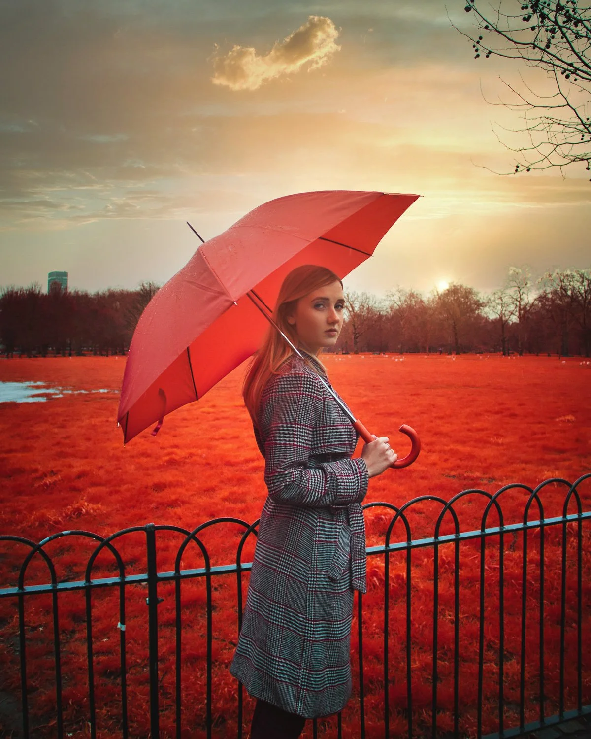 A woman holding a red umbrella standing behind a black metal fence in a park with red grass and trees, during sunset.