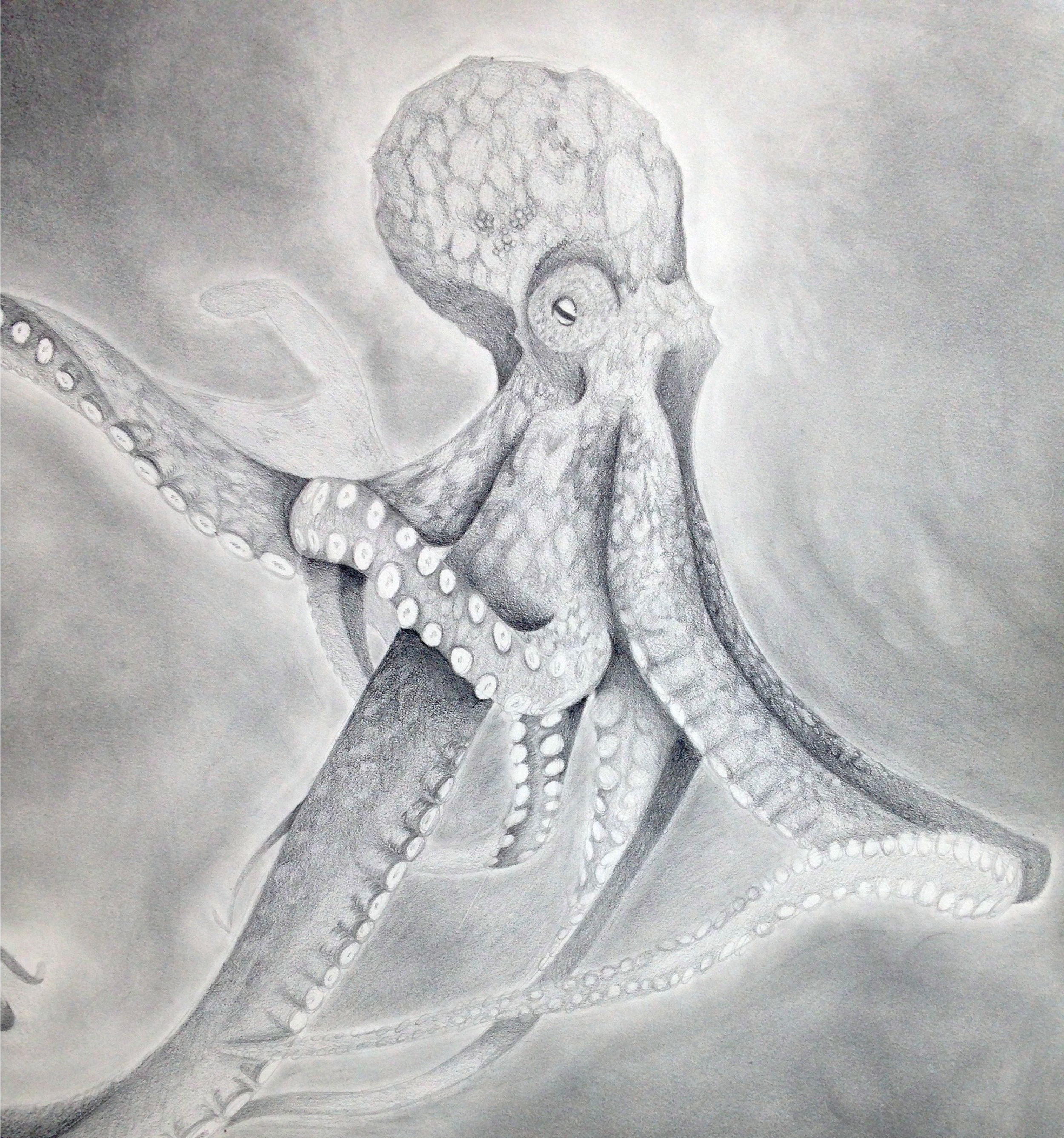 King A Octopus - Copy.png