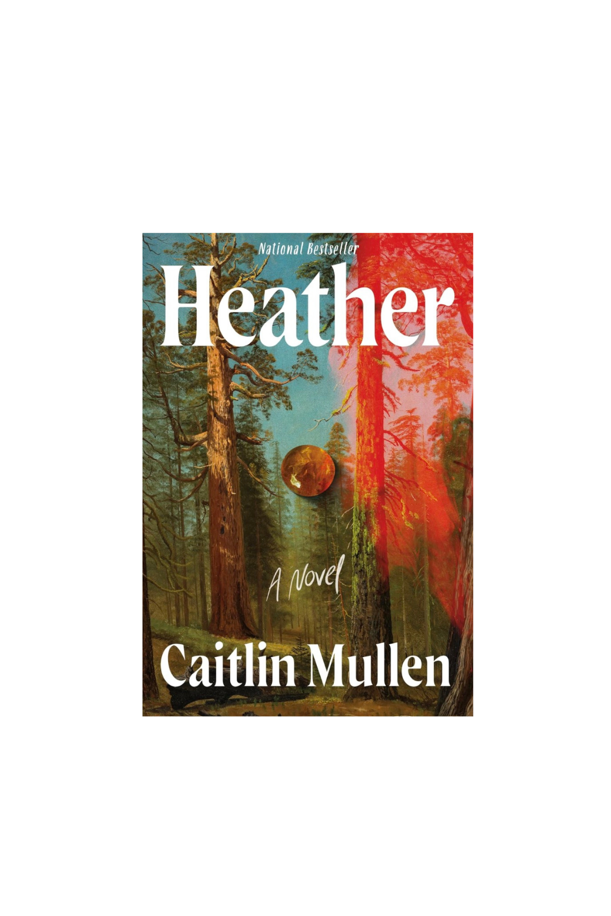 book graphic-72.png