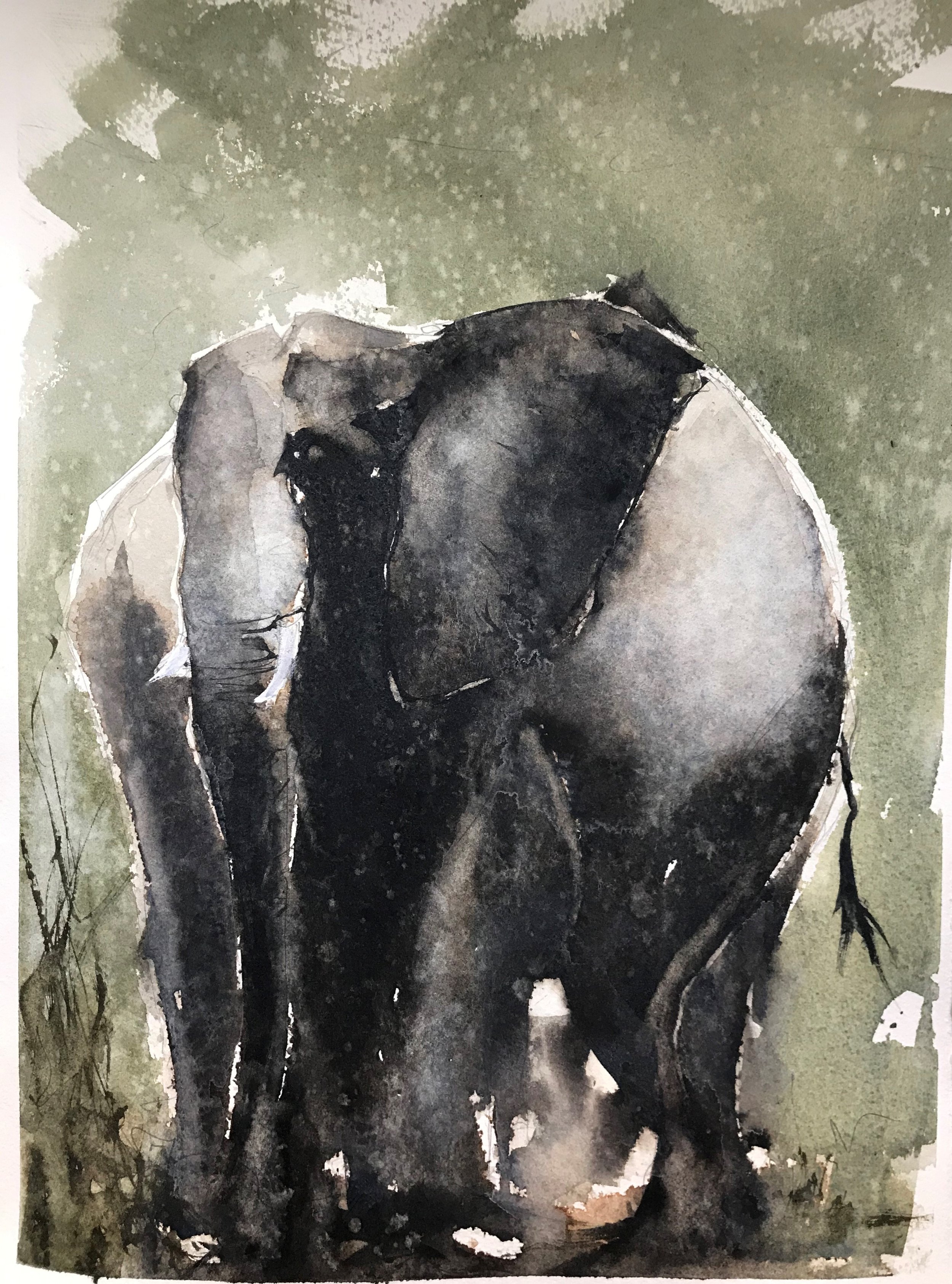 African Bull Elephant.jpg