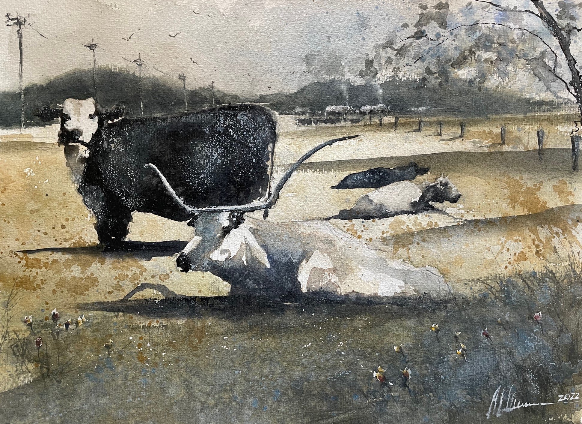 Cattle Series - Albino Longhorn.jpg
