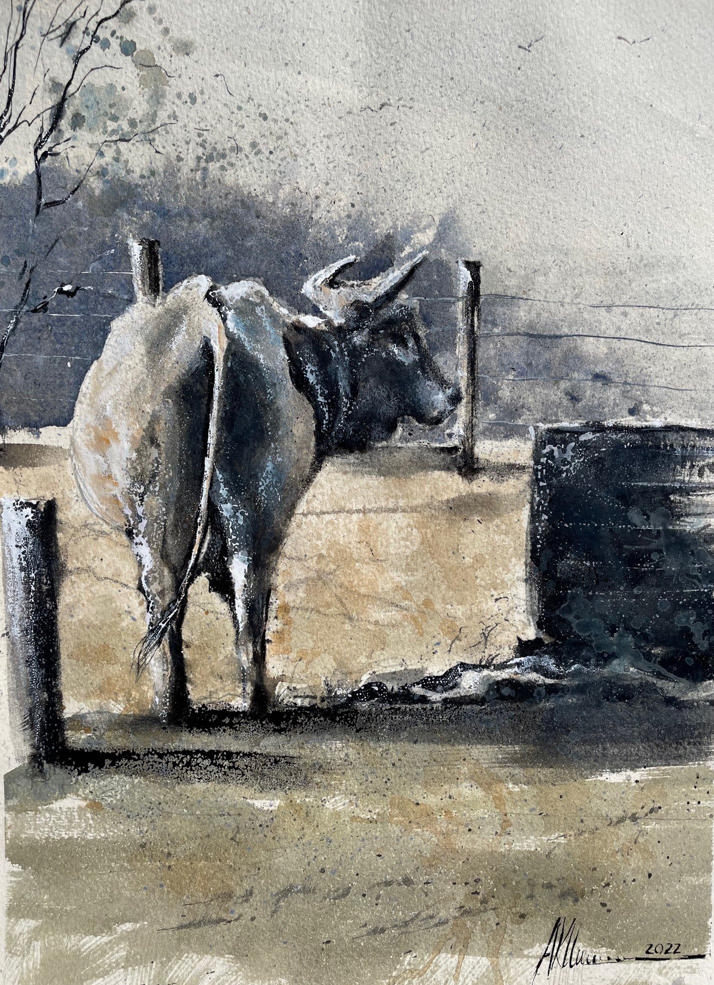 Cattle Series - Dry Waters.jpg