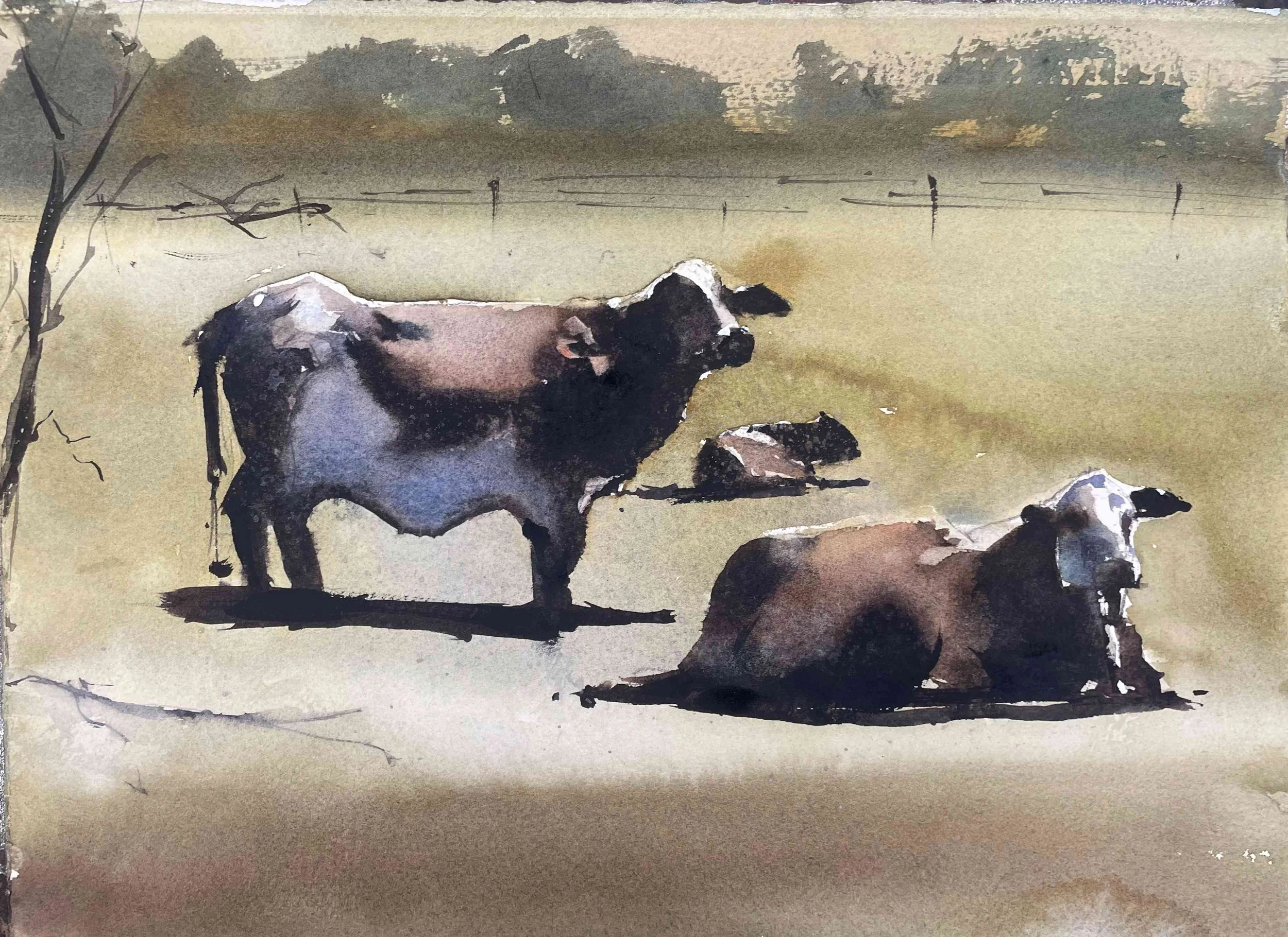 Cow Study .jpg
