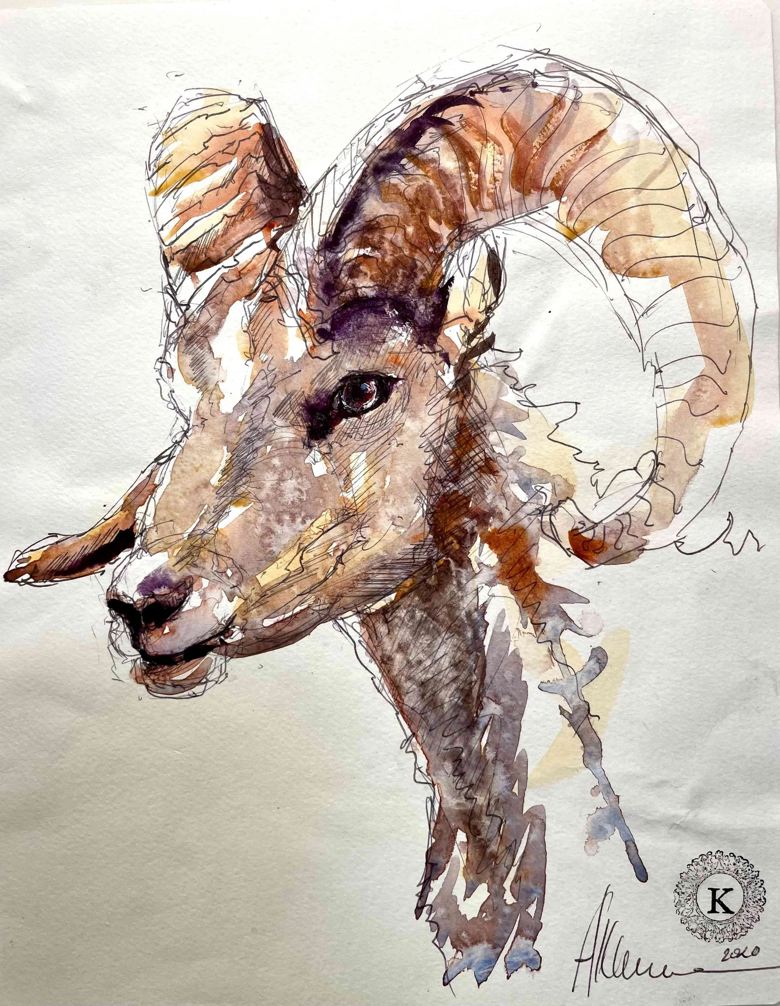Ram Sketch.jpg