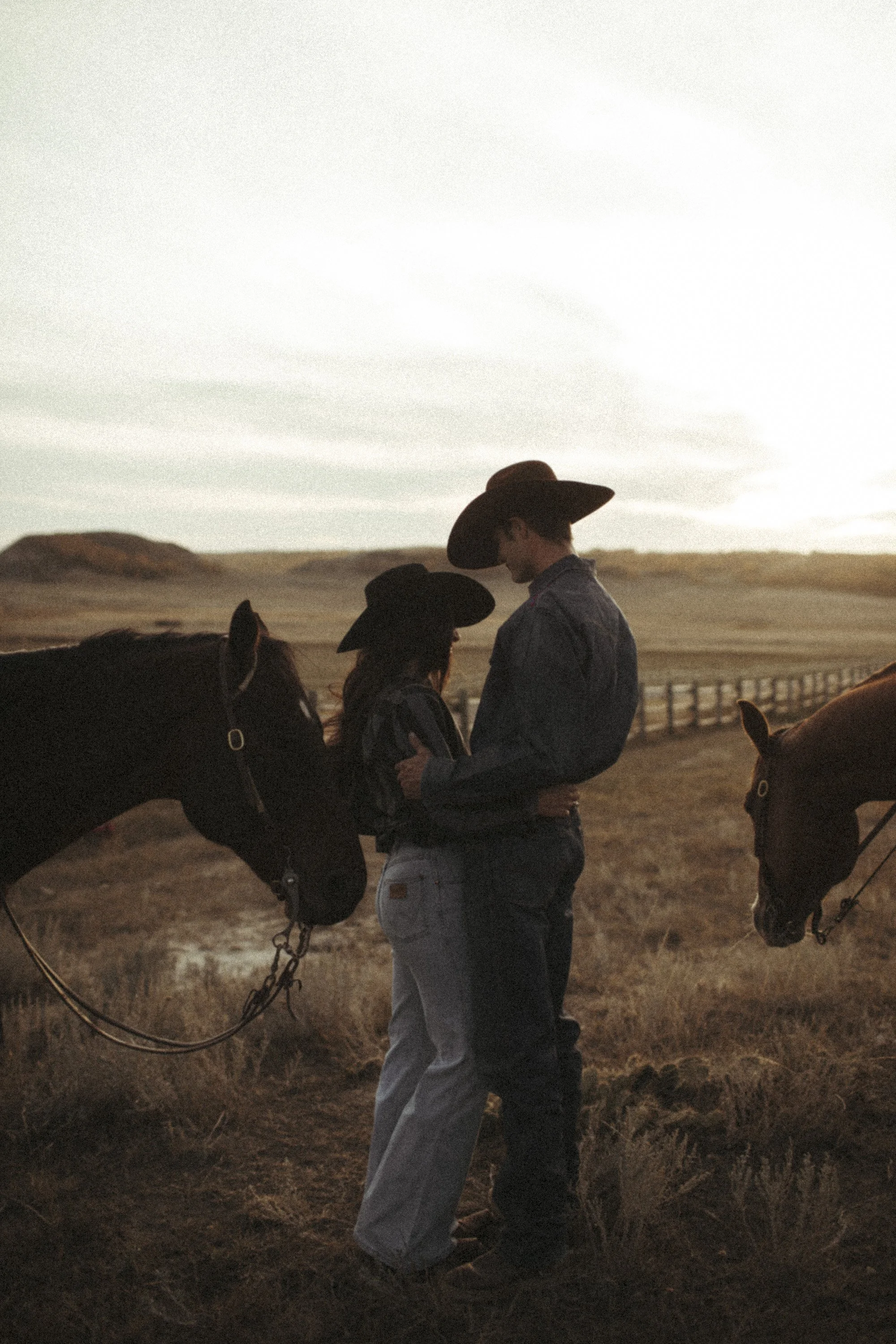 Prairies &amp; Ponies