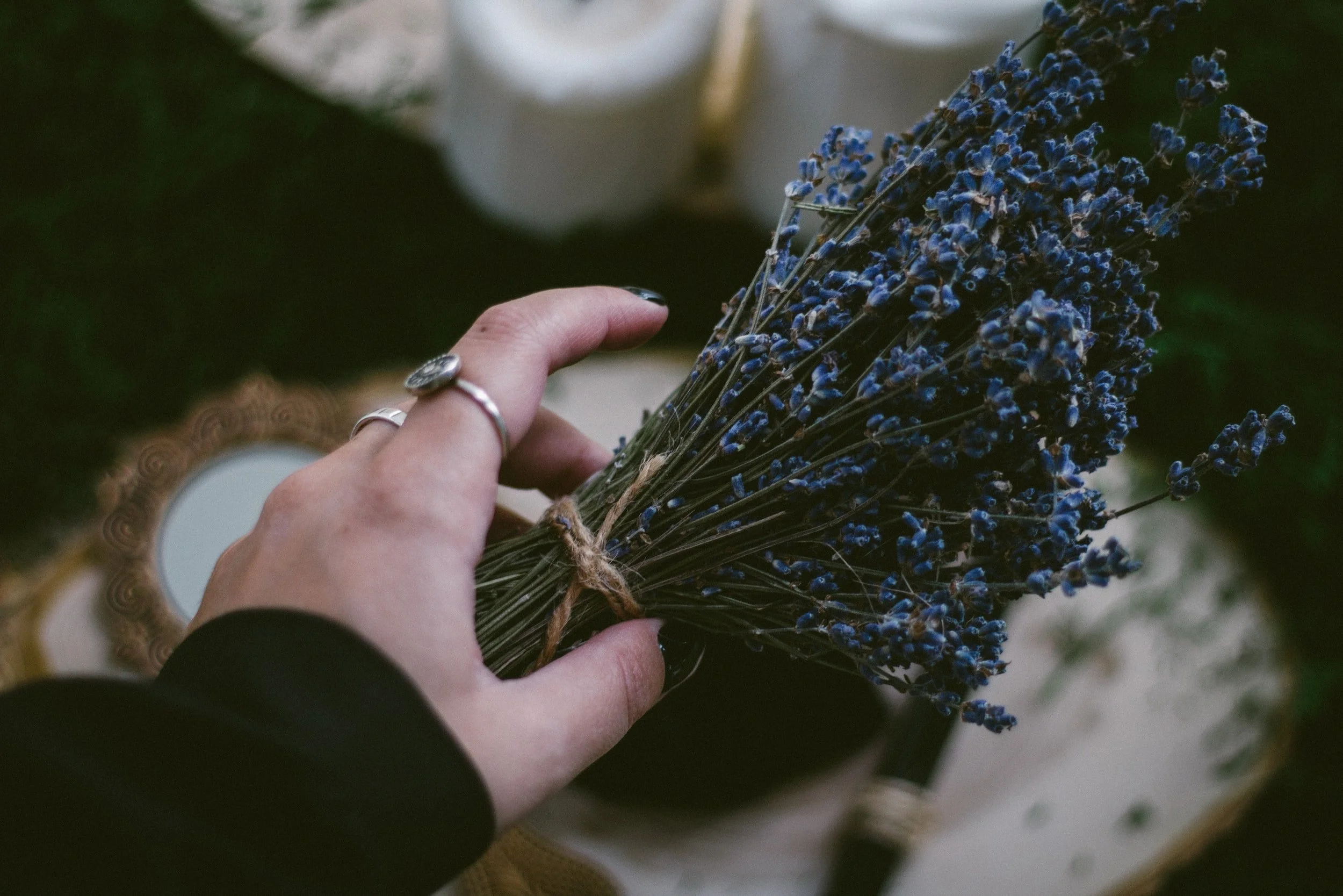 Connecting with The Ancestors